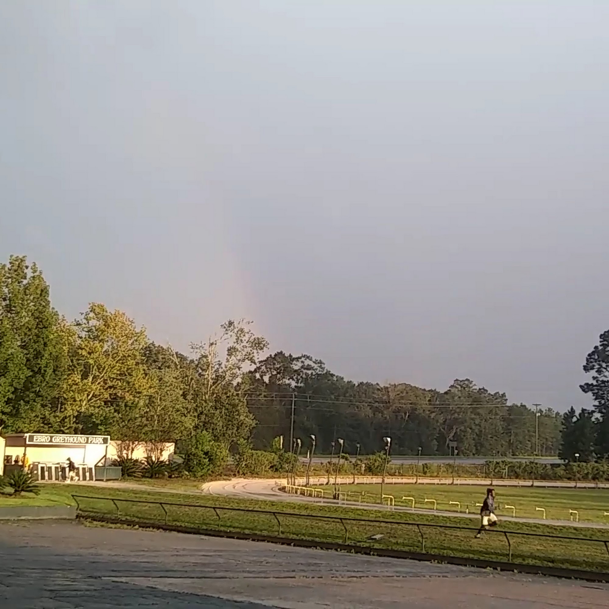 Ebro Card Casino & Racebook