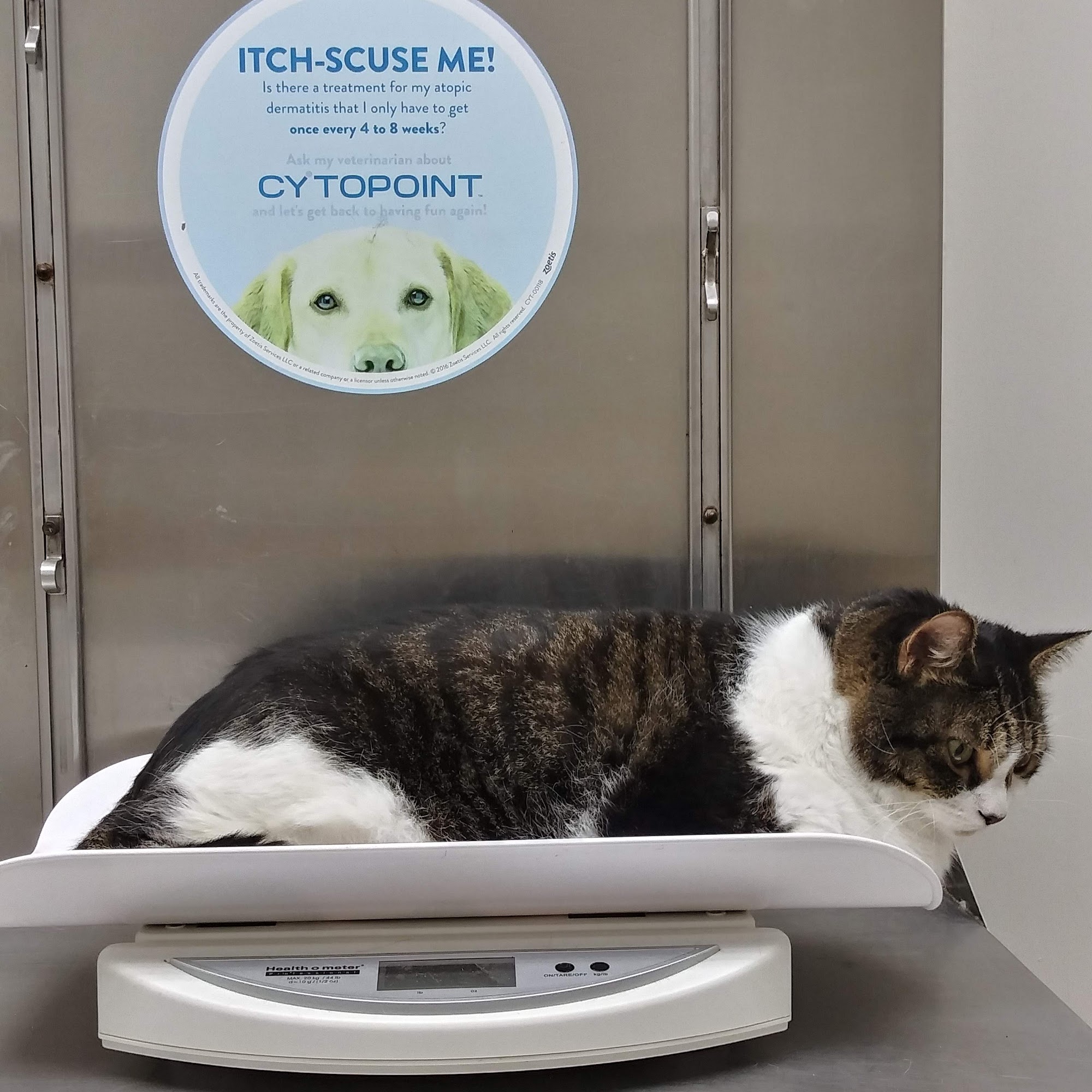 Gilkison Janis DVM Englewood