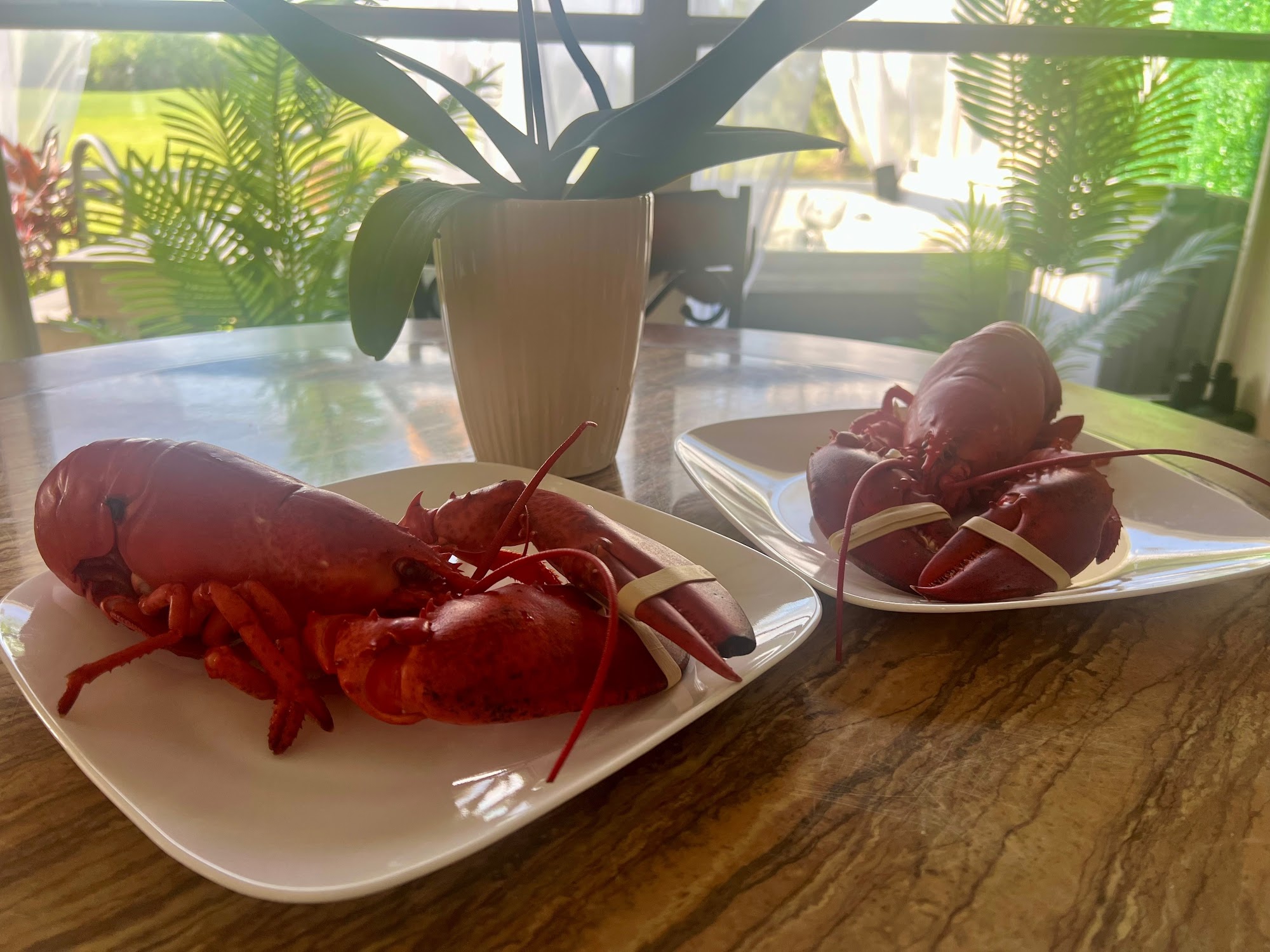 Twin Lobsters Menu