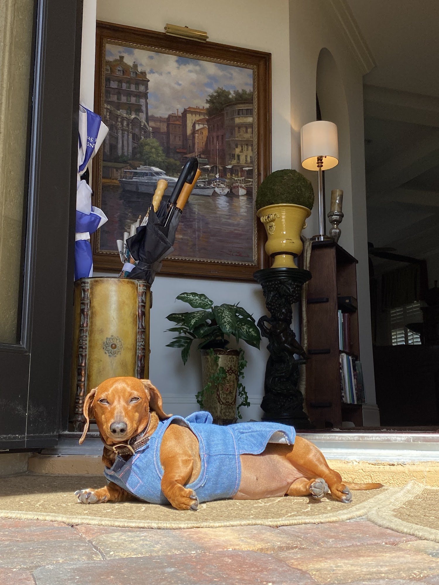 Shoppes Of Estero Animal Hospital Estero