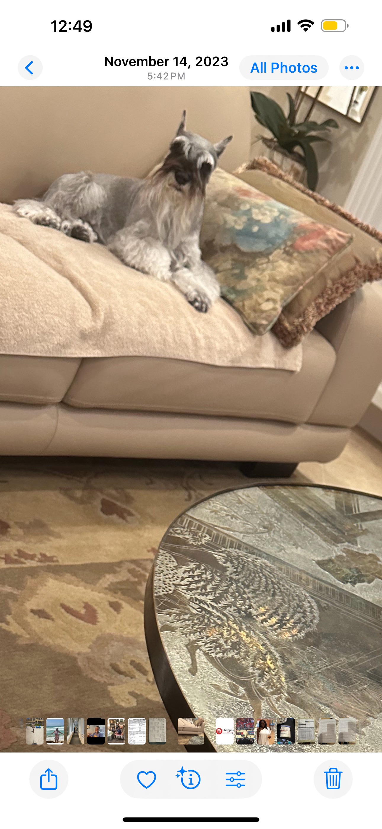 Shoppes Of Estero Animal Hospital Estero