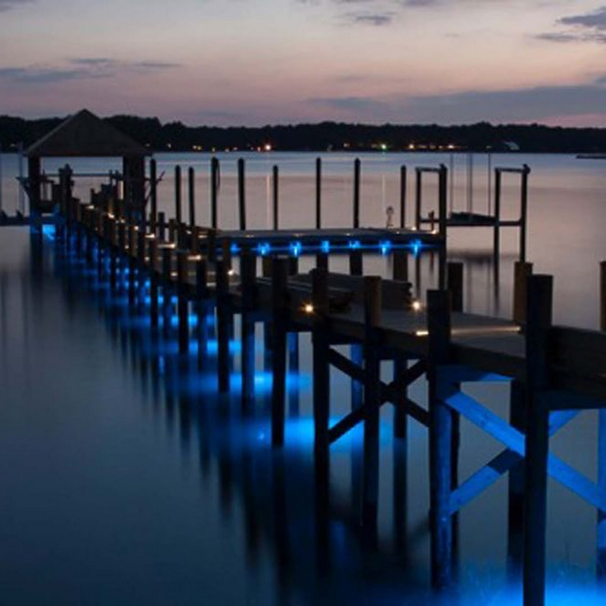 Dan Allen Landscape Lighting 9990 Coconut Rd Unit # 3473, Estero Florida 34135