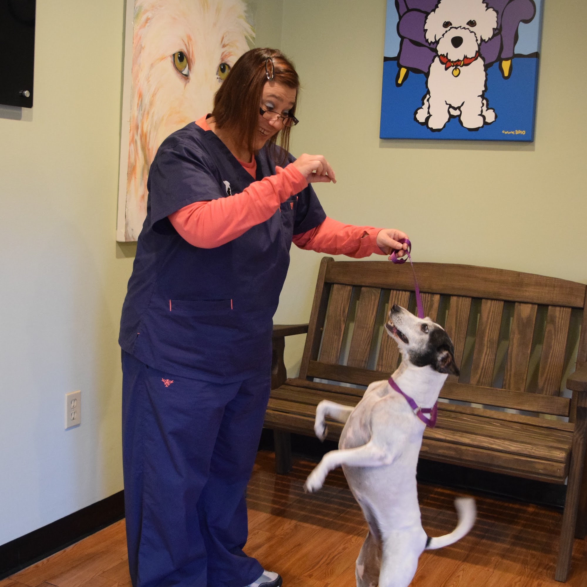 Merritt Animal Clinic Eustis