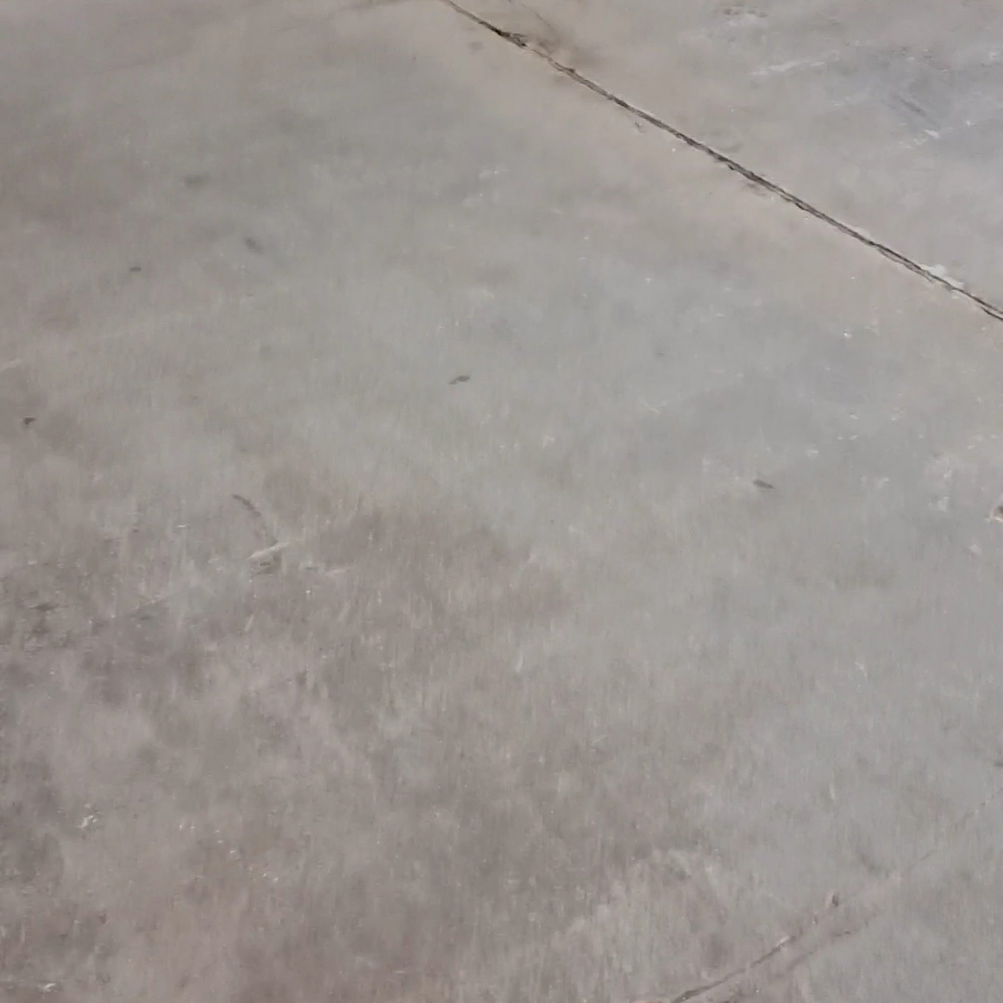 US Nutraceuticals Eustis