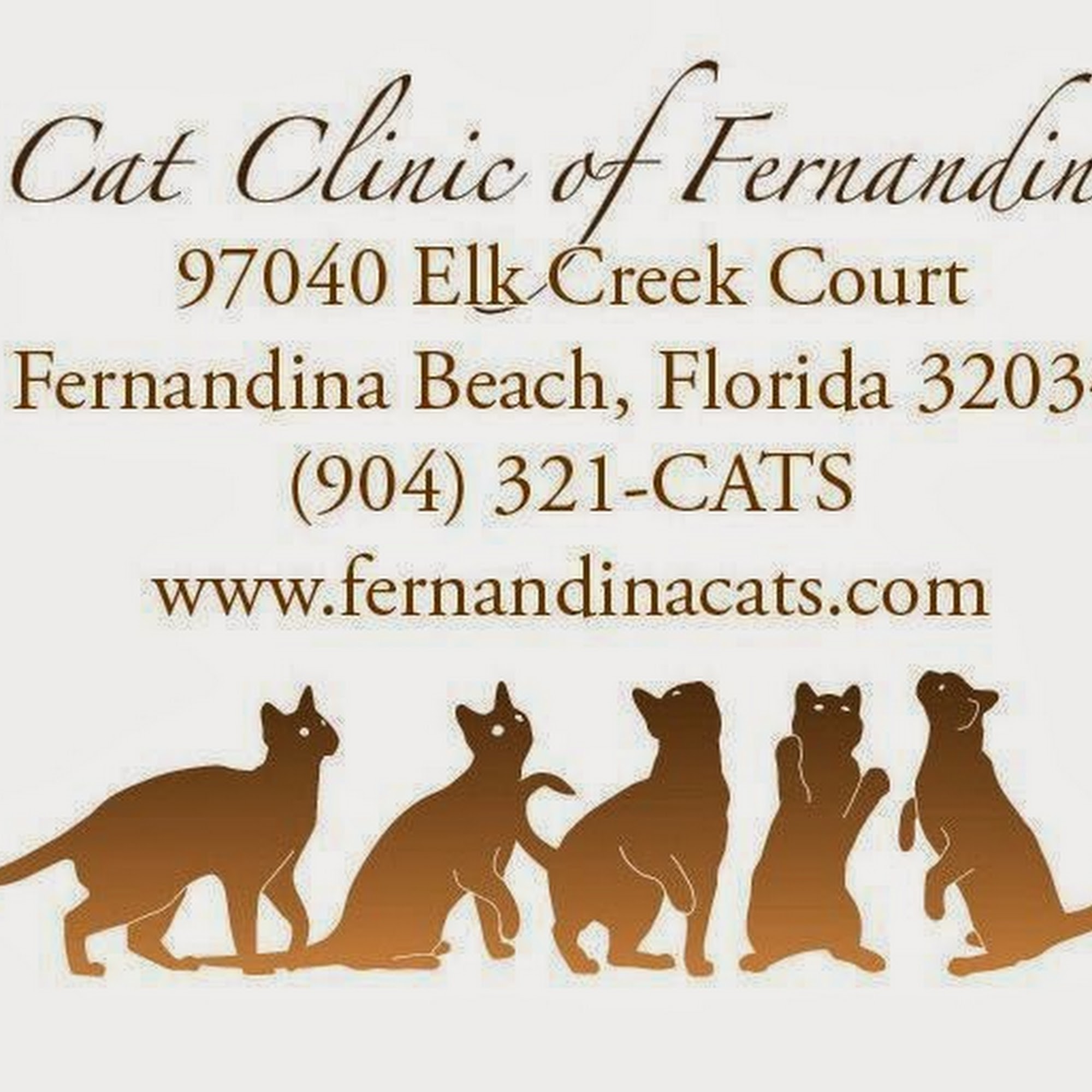 Cat Clinic of Fernandina Fernandina Beach