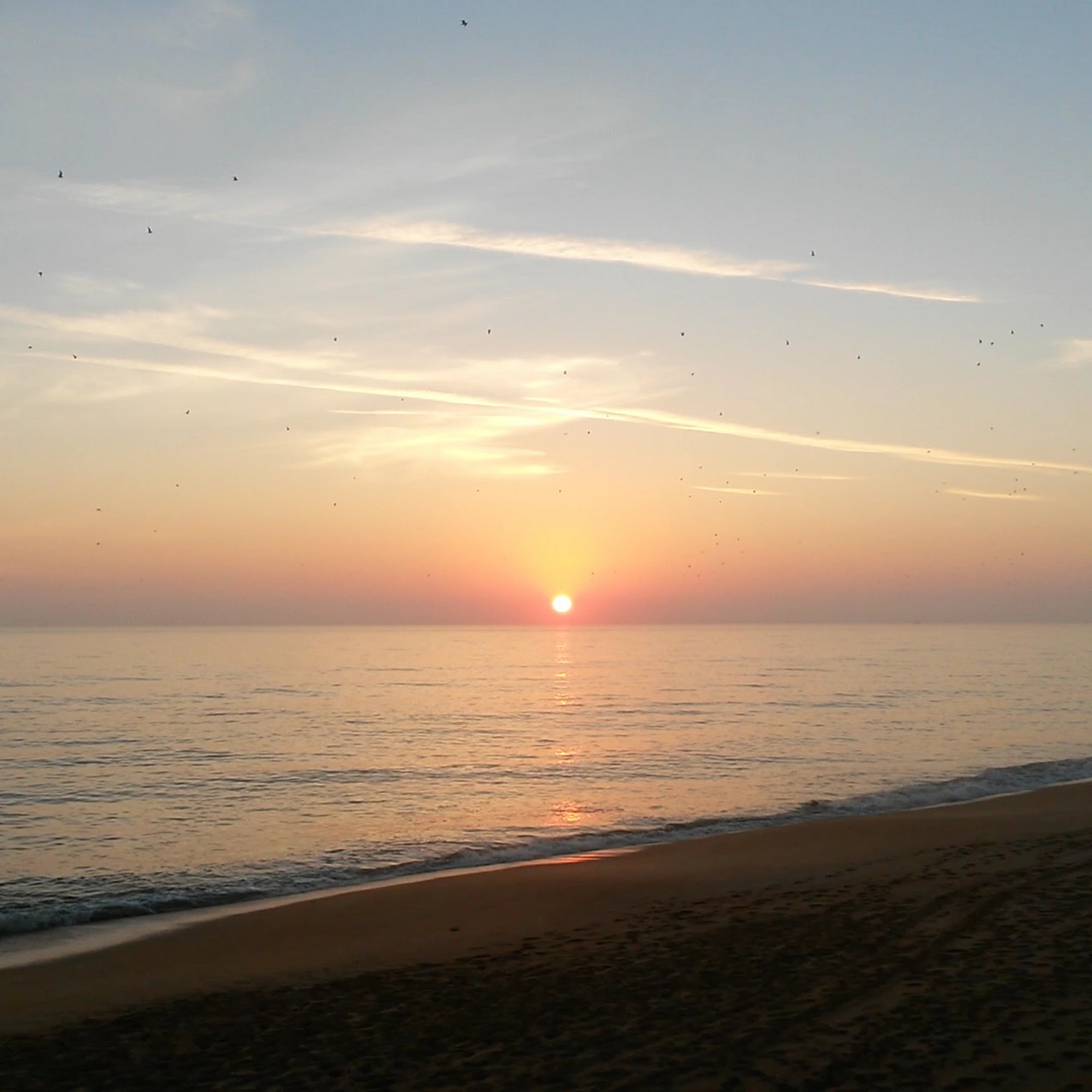 Java Joint Beachside Grill Flagler Beach