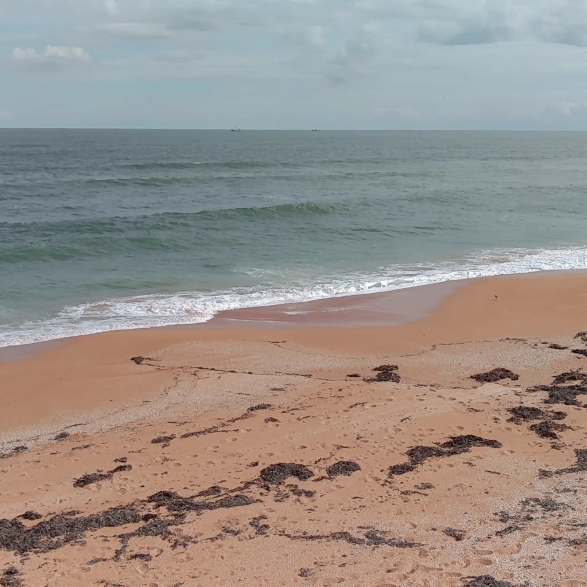 Turtle Shack Cafe Flagler Beach