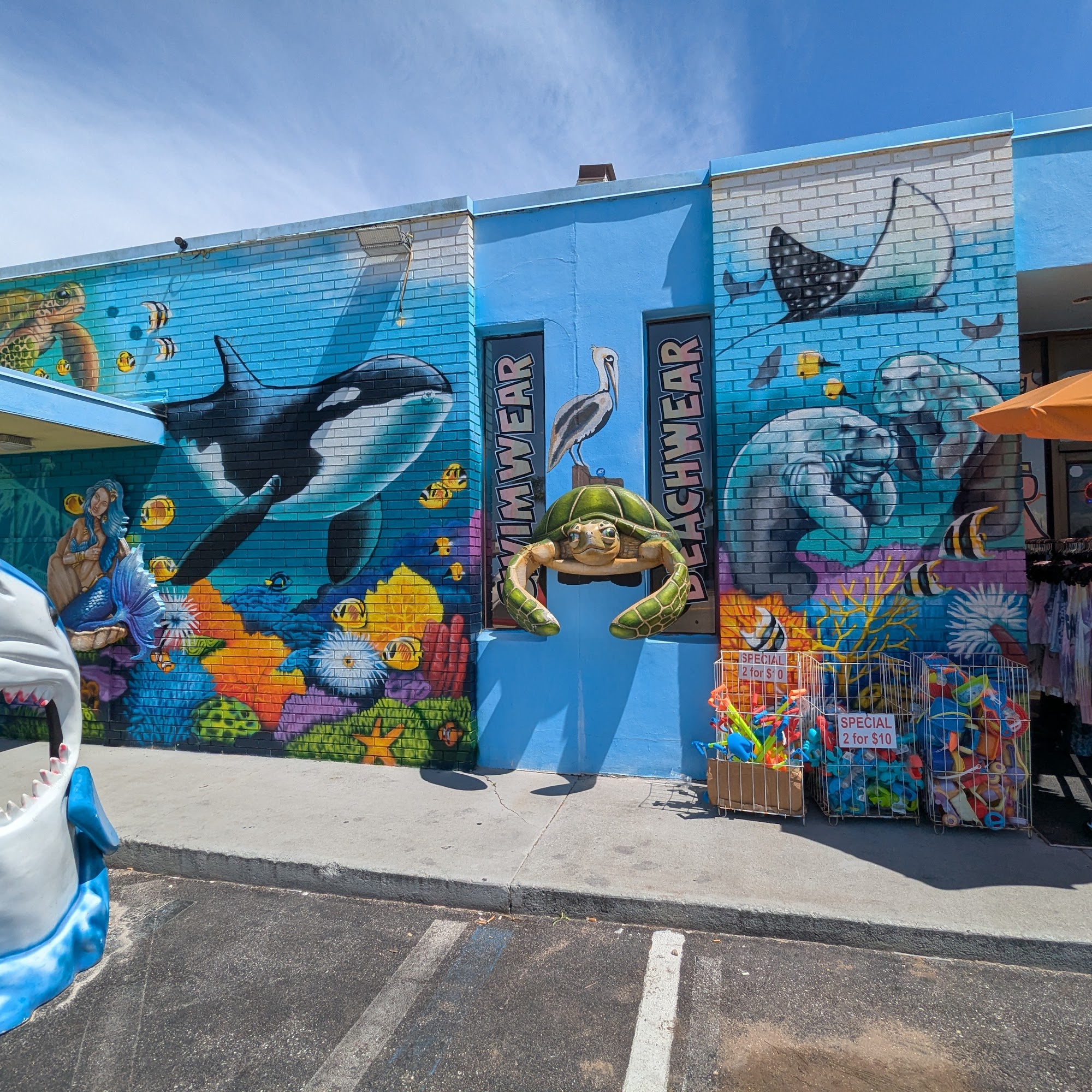 Sharky's Swimwear & Custom Tee Shirts - Beachfront Shop Flagler Beach