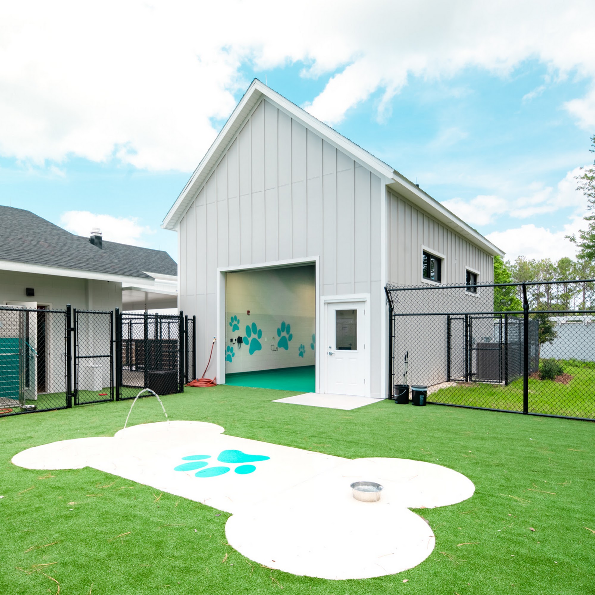 Pet Paradise Fleming Island Fleming Island