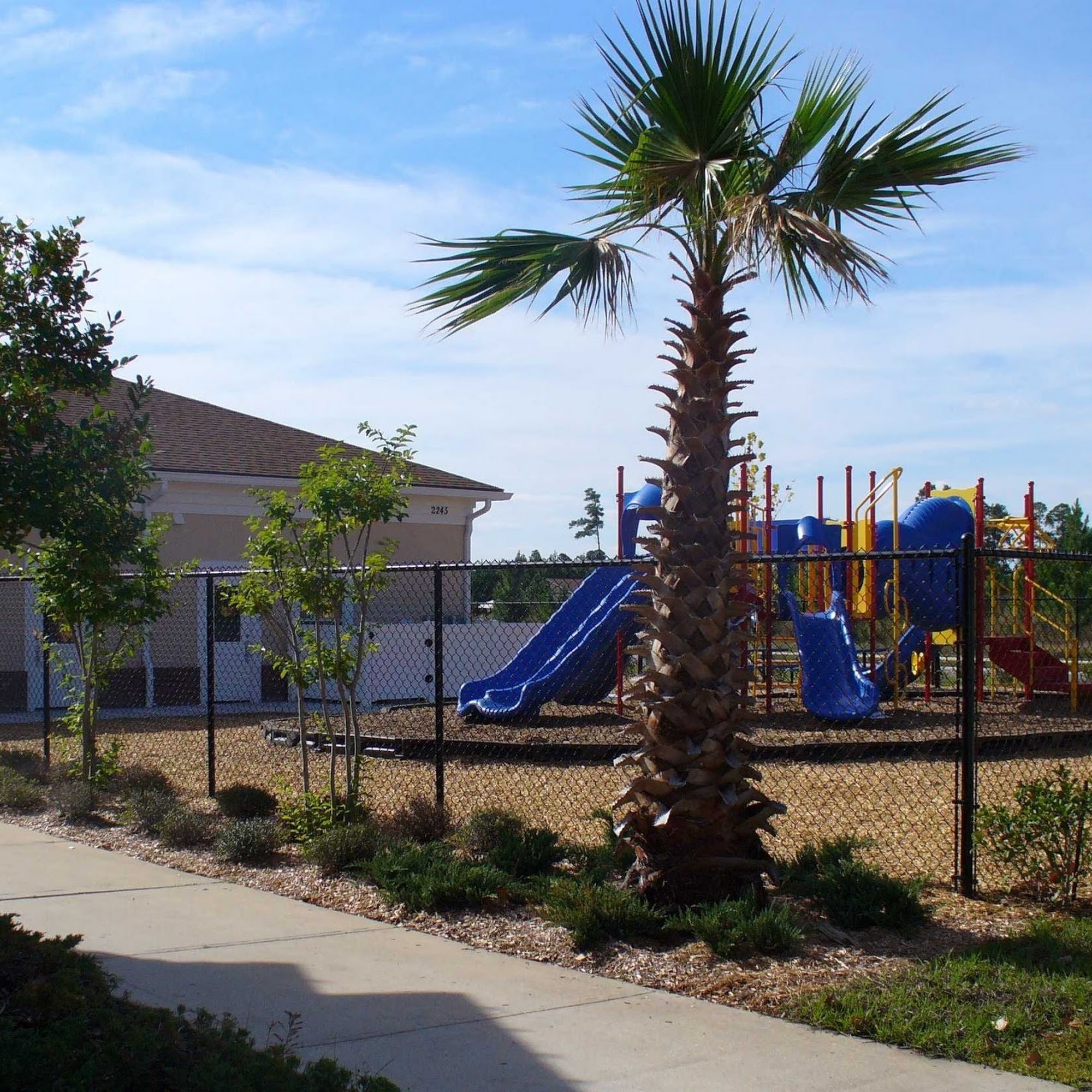 Ivy League Academy Fleming Island