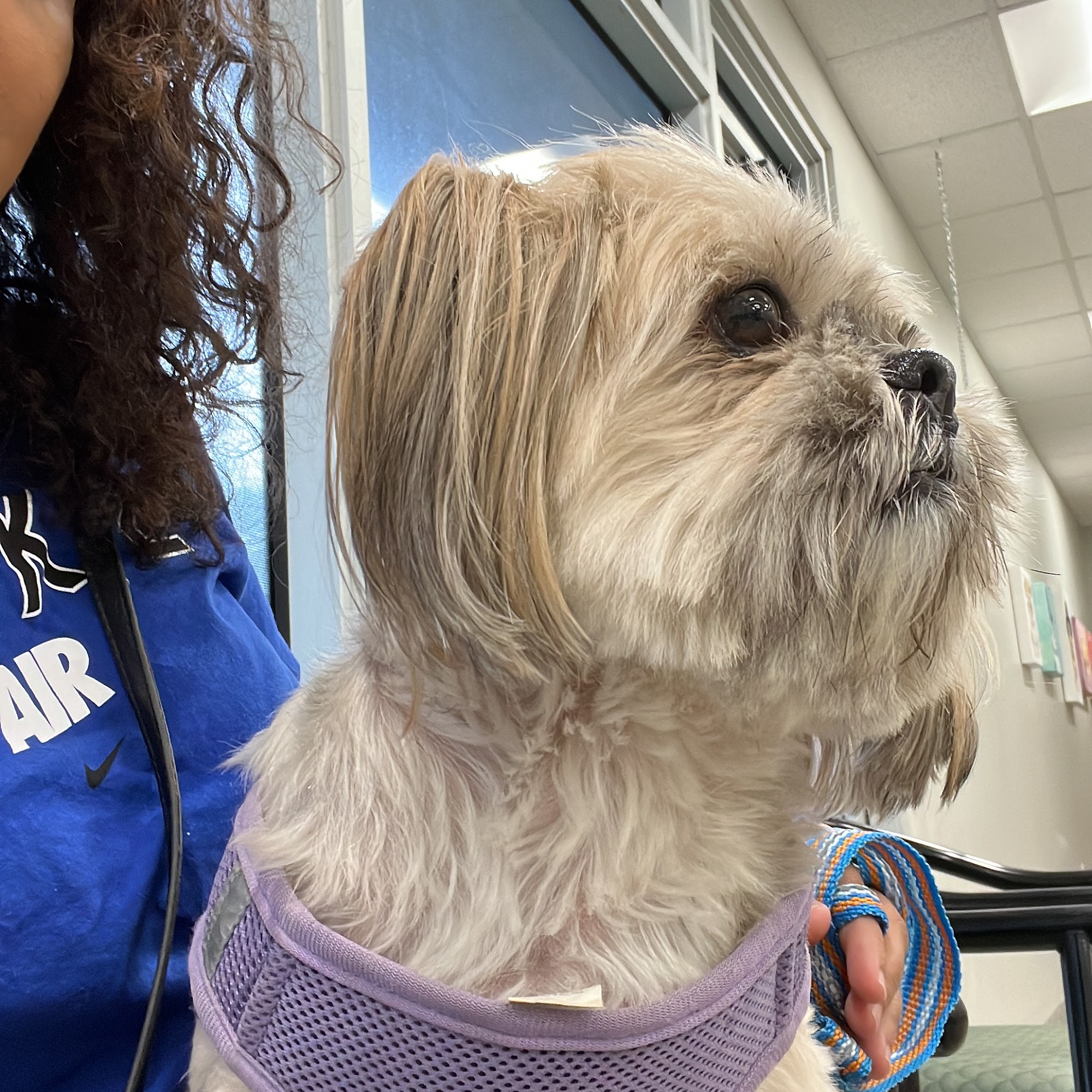 Southport Animal Hospital Fort Lauderdale