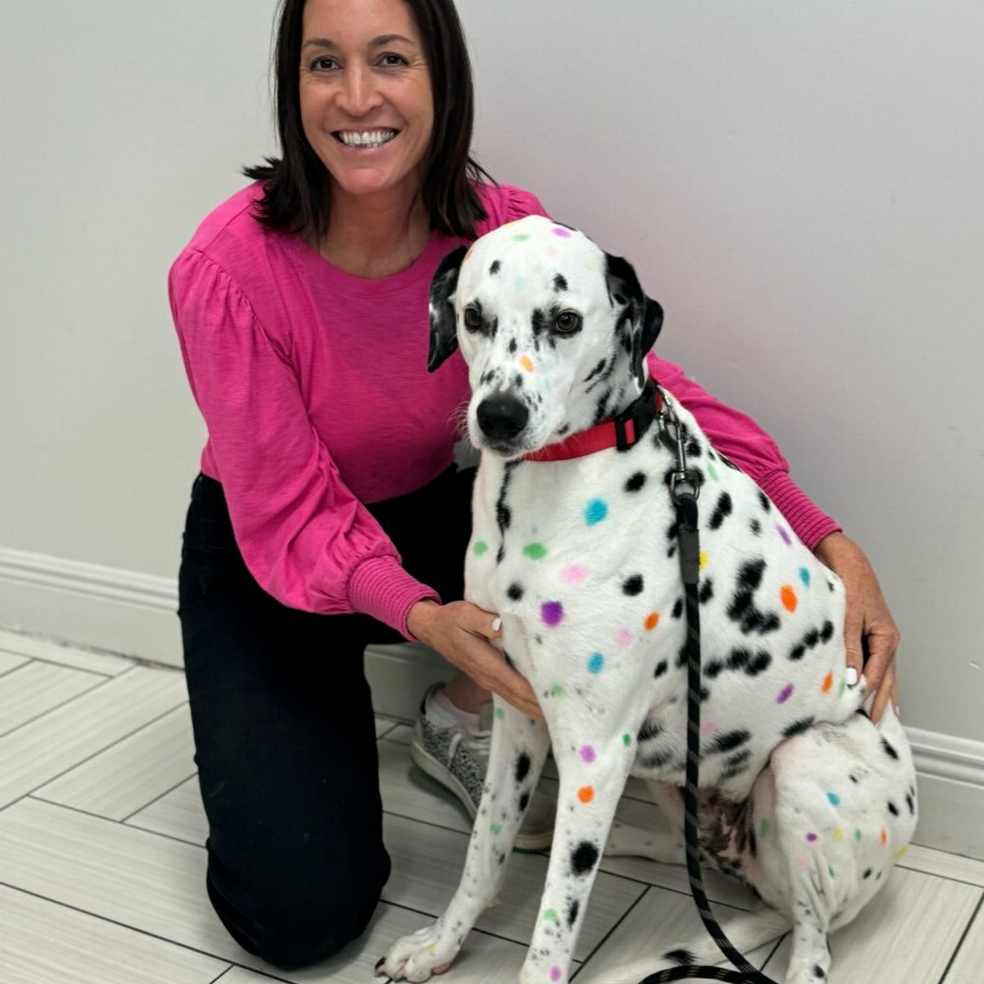 Victoria Park Animal Hospital Fort Lauderdale