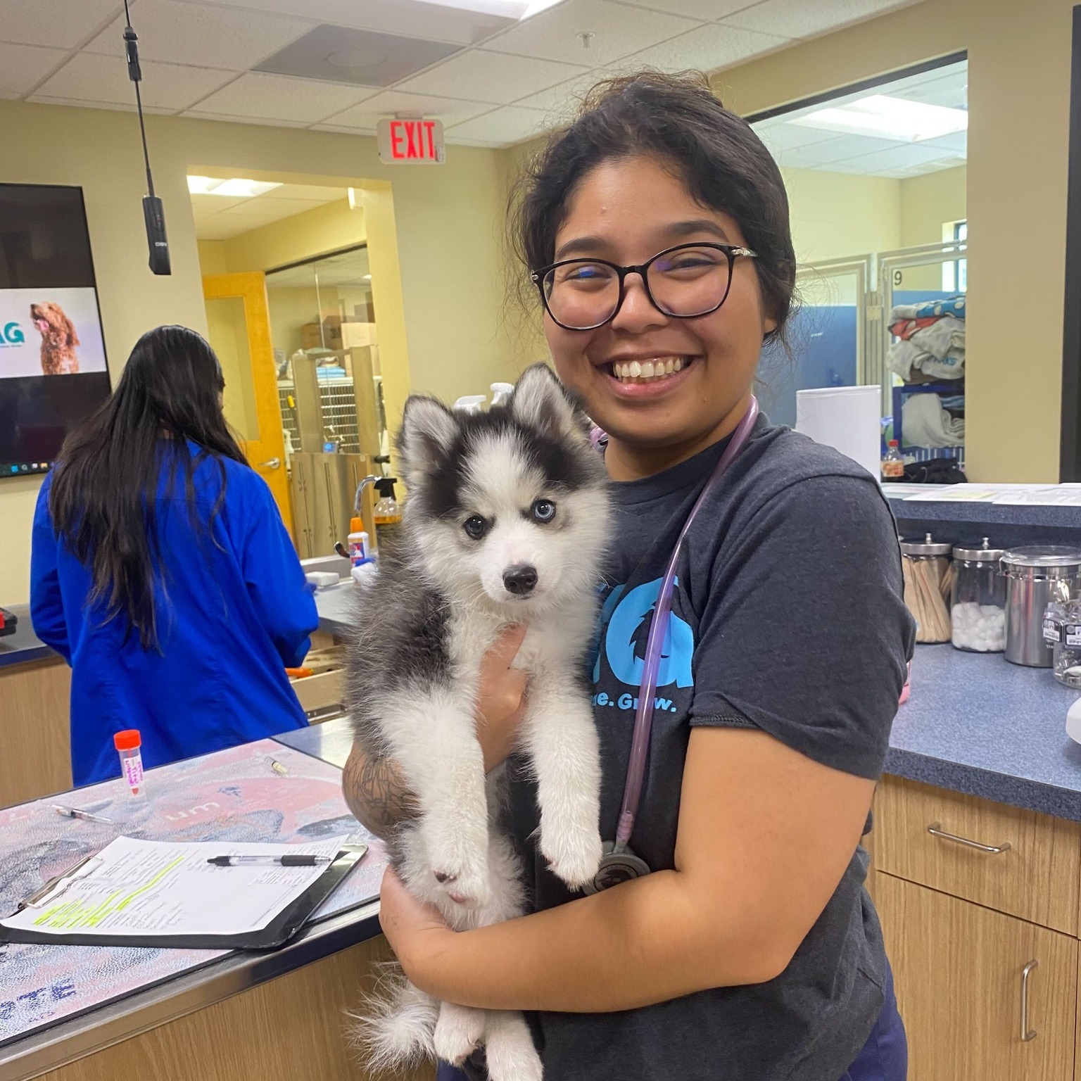 Seiler Animal Hospital Fort Lauderdale