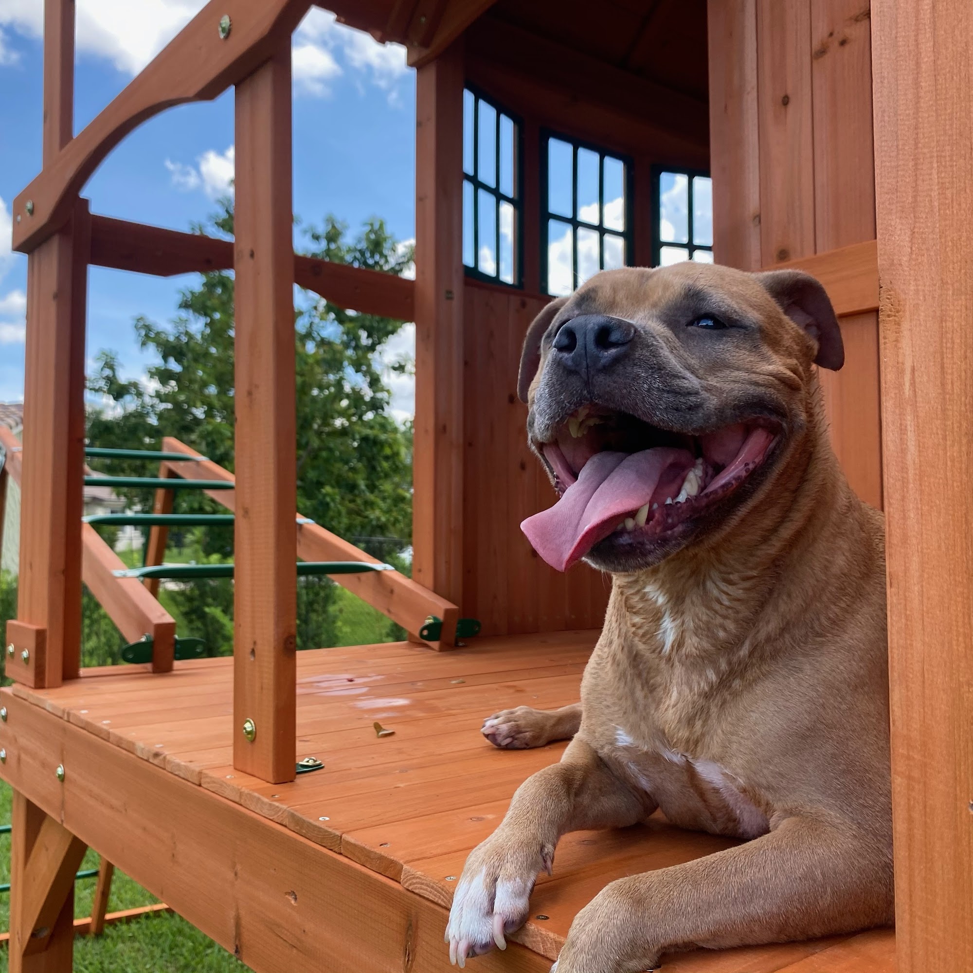 Premium Vet Care - Mobile Animal Hospital Fort Lauderdale