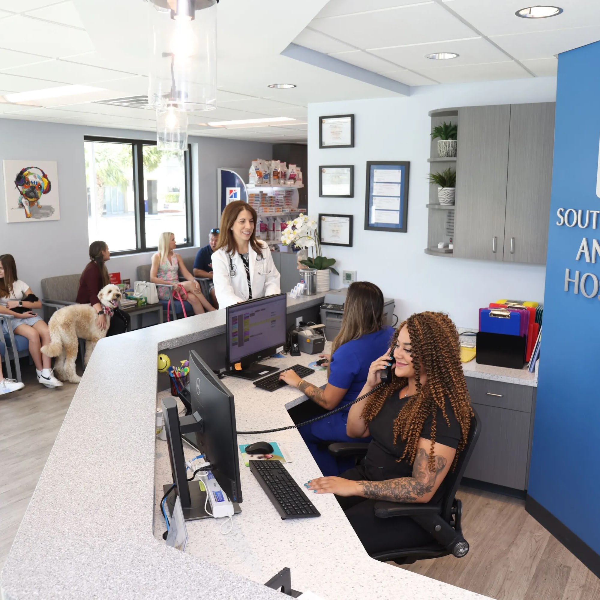South Federal Animal Hospital Fort Lauderdale