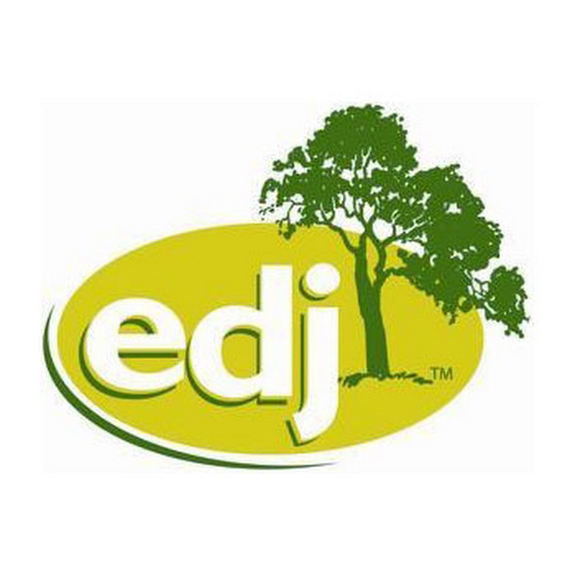 EDJ Service LLC