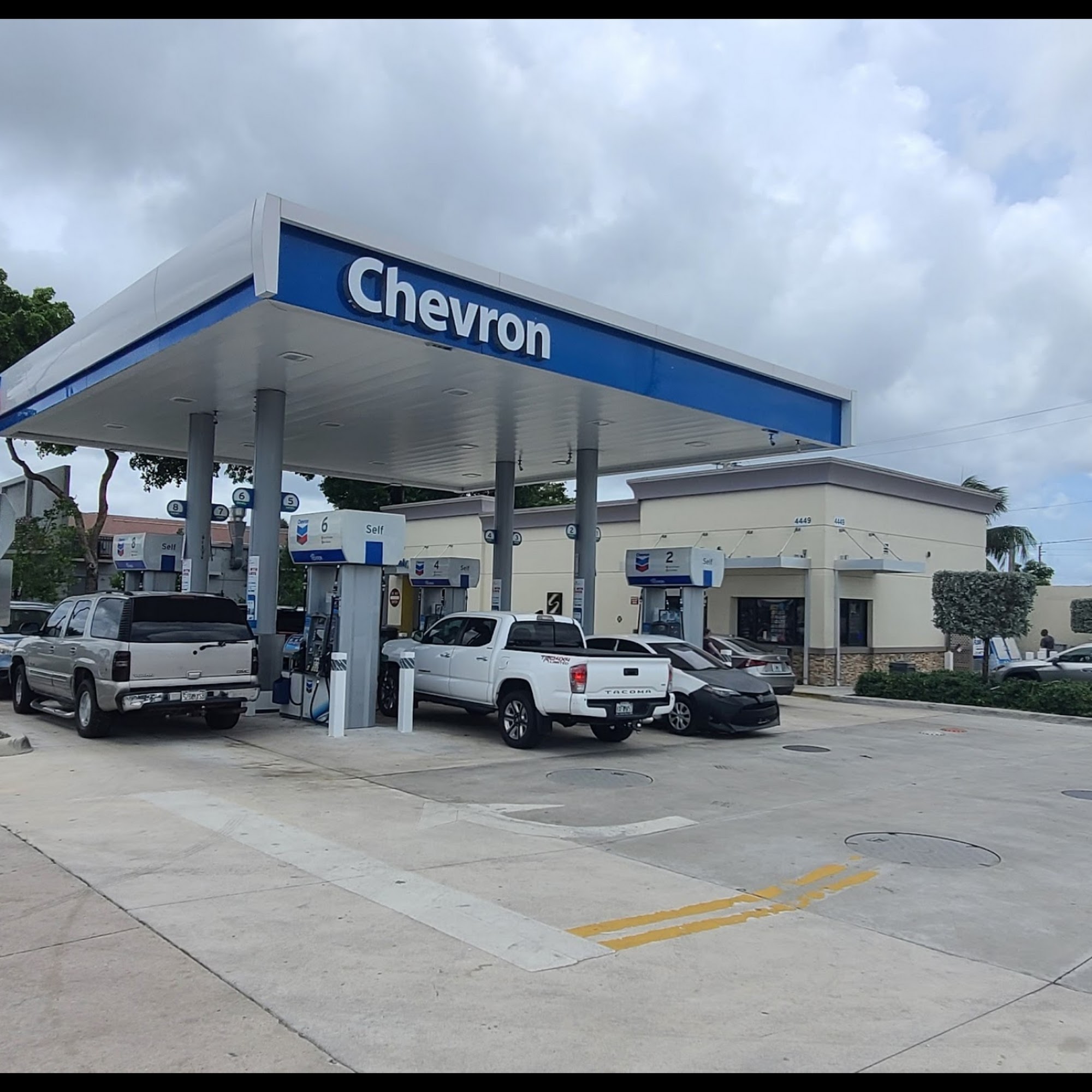 Chevron