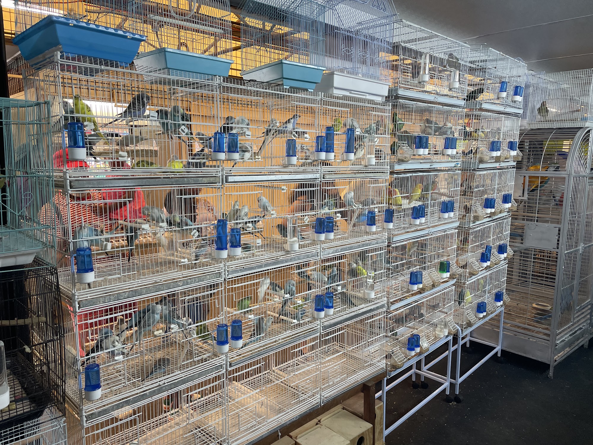 Francisco Pet Store and Supply Fort Lauderdale