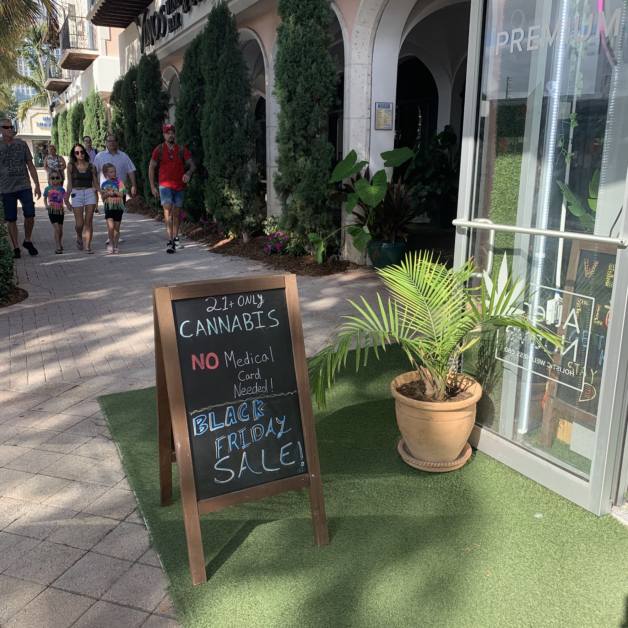Alter Native - Las Olas