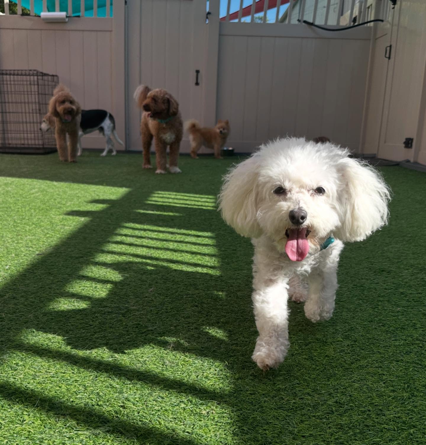 The Barker Lounge Fort Myers