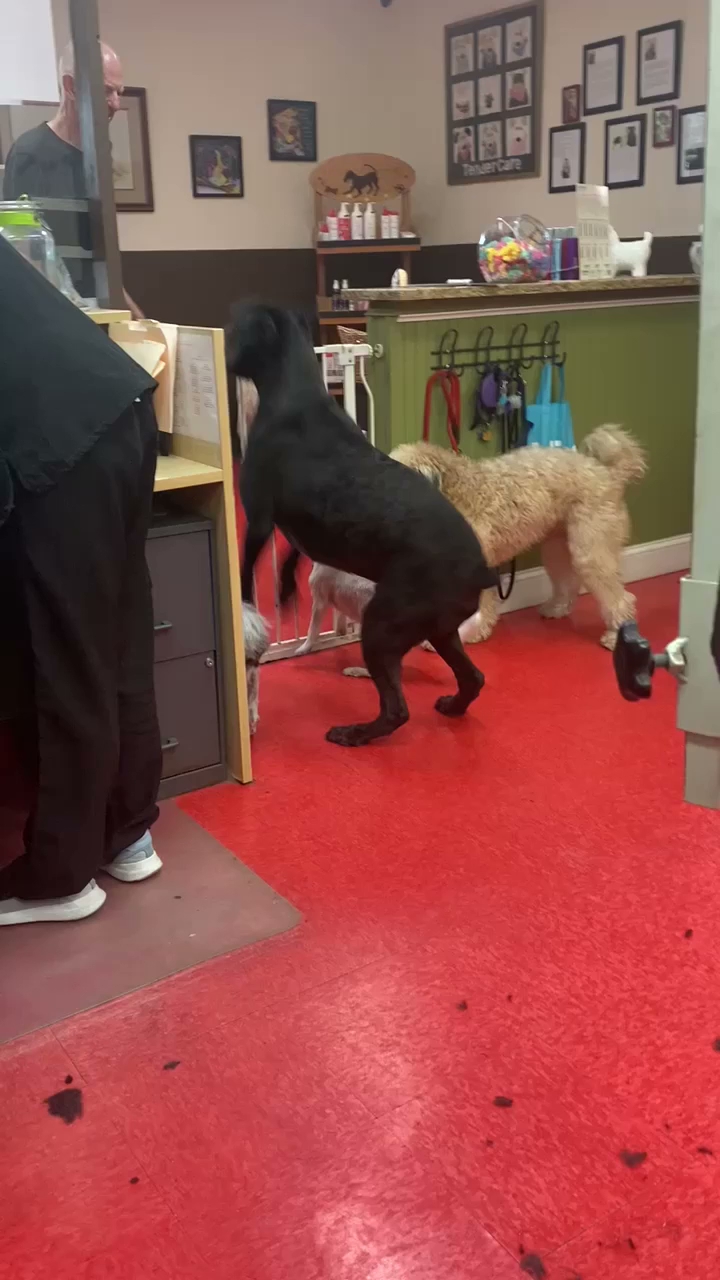 Tender Care Pet Salon and Day Spa Fort Myers