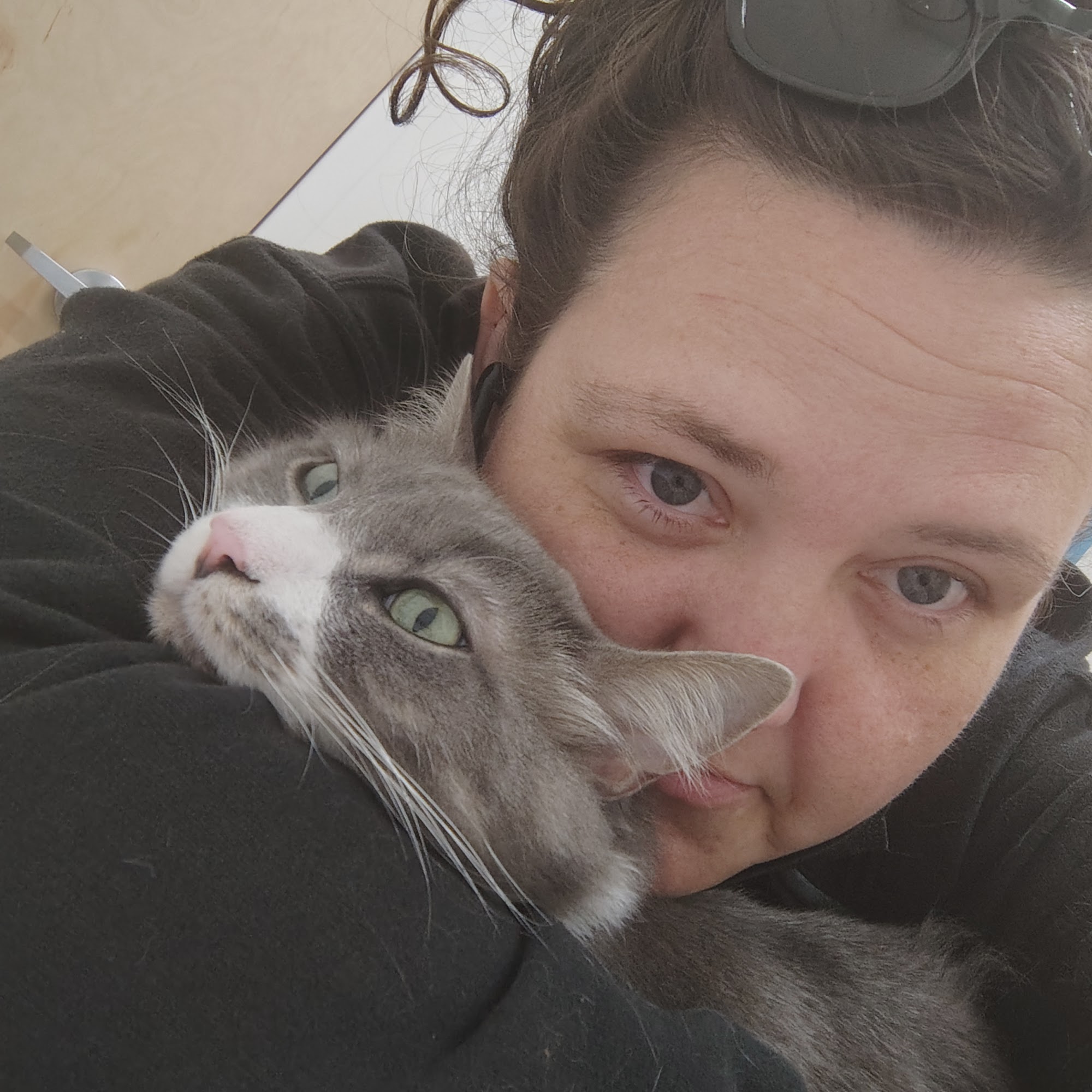 Daniels Parkway Animal Hospital: Hendon, Barry DVM Fort Myers