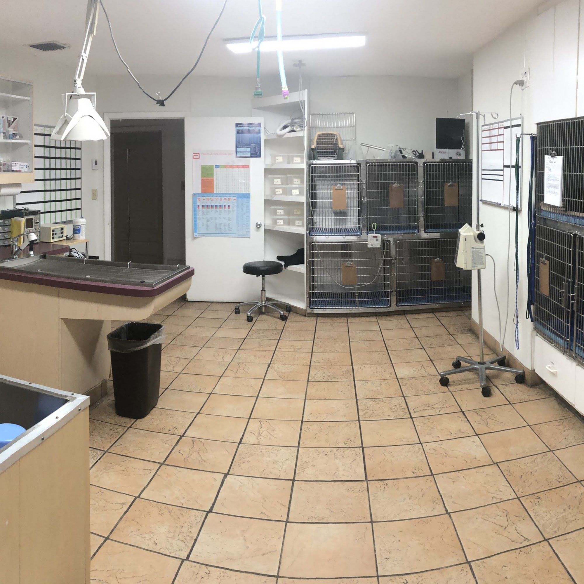 Midway Veterinary Hospital Fort Pierce