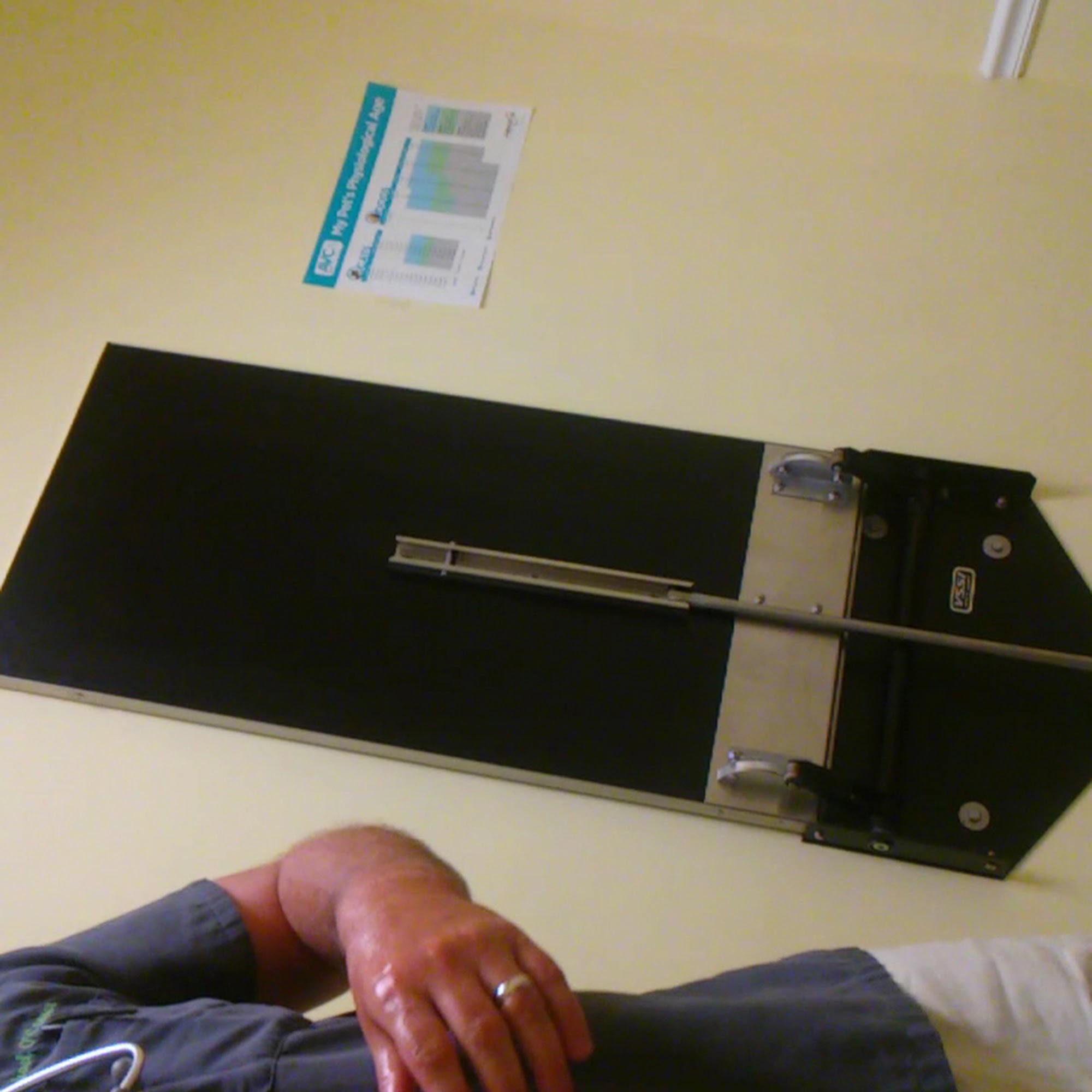 Holy Family Vet Fort Pierce