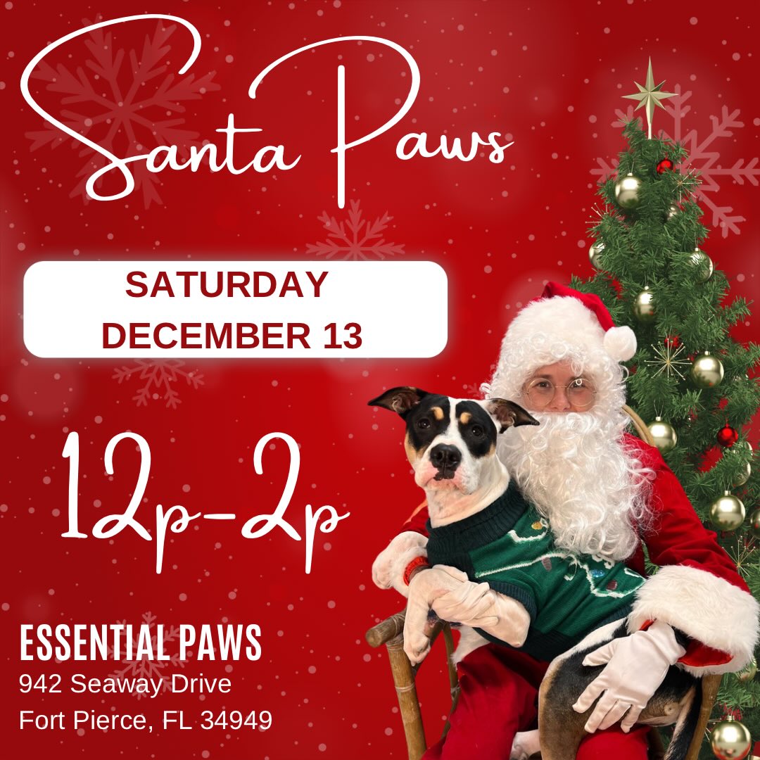 Essential Paws Island Resort Fort Pierce
