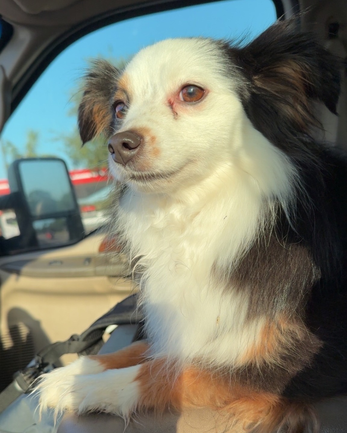 Midway Veterinary Hospital at Orange Avenue Fort Pierce