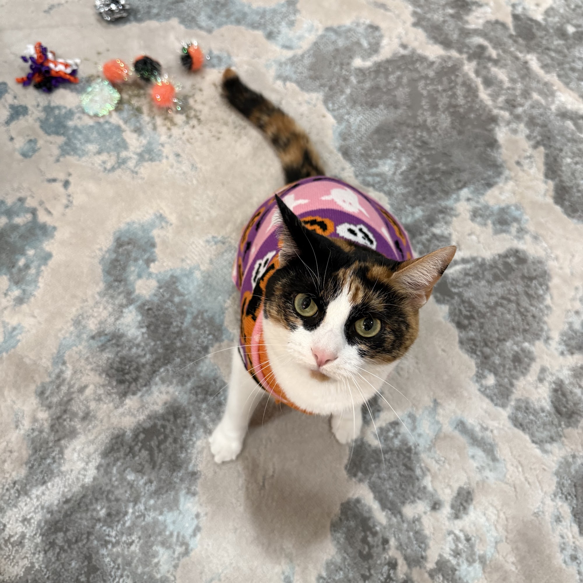 Petsense by Tractor Supply Fort Pierce