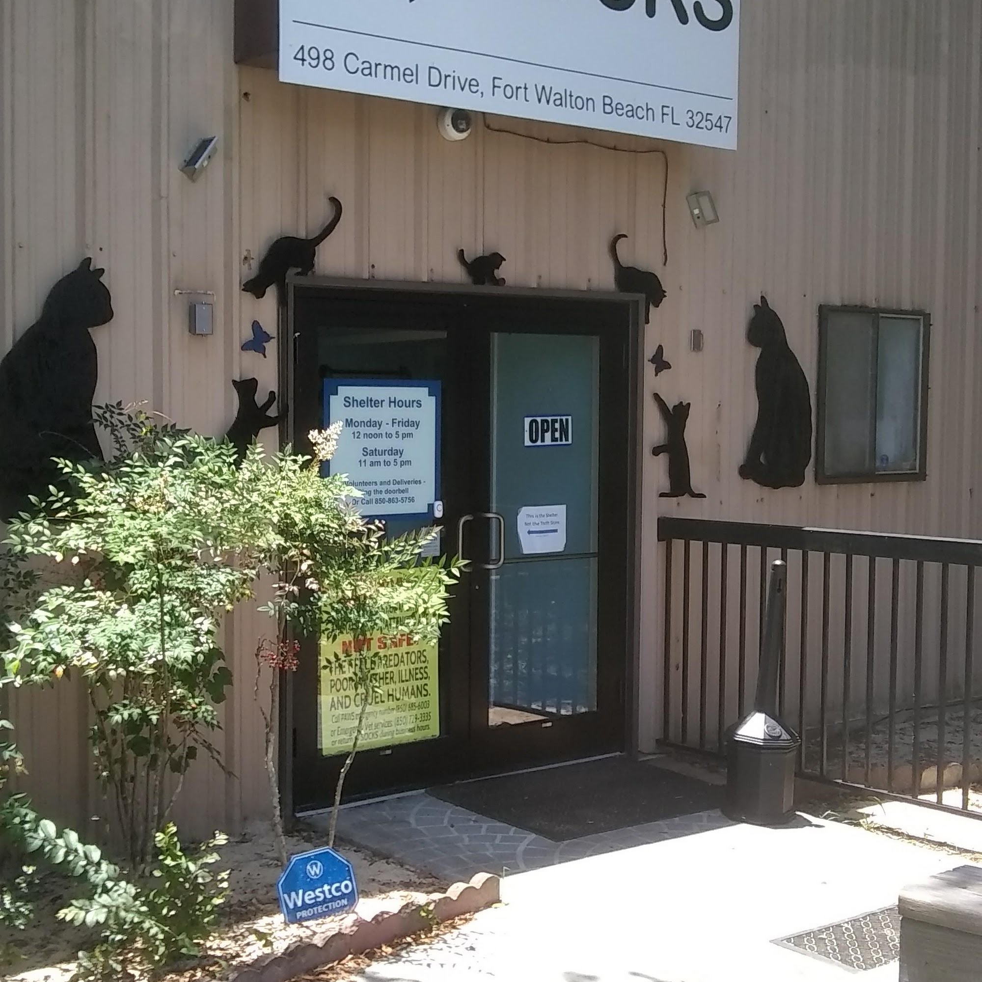 Socks Animal Shelter Fort Walton Beach