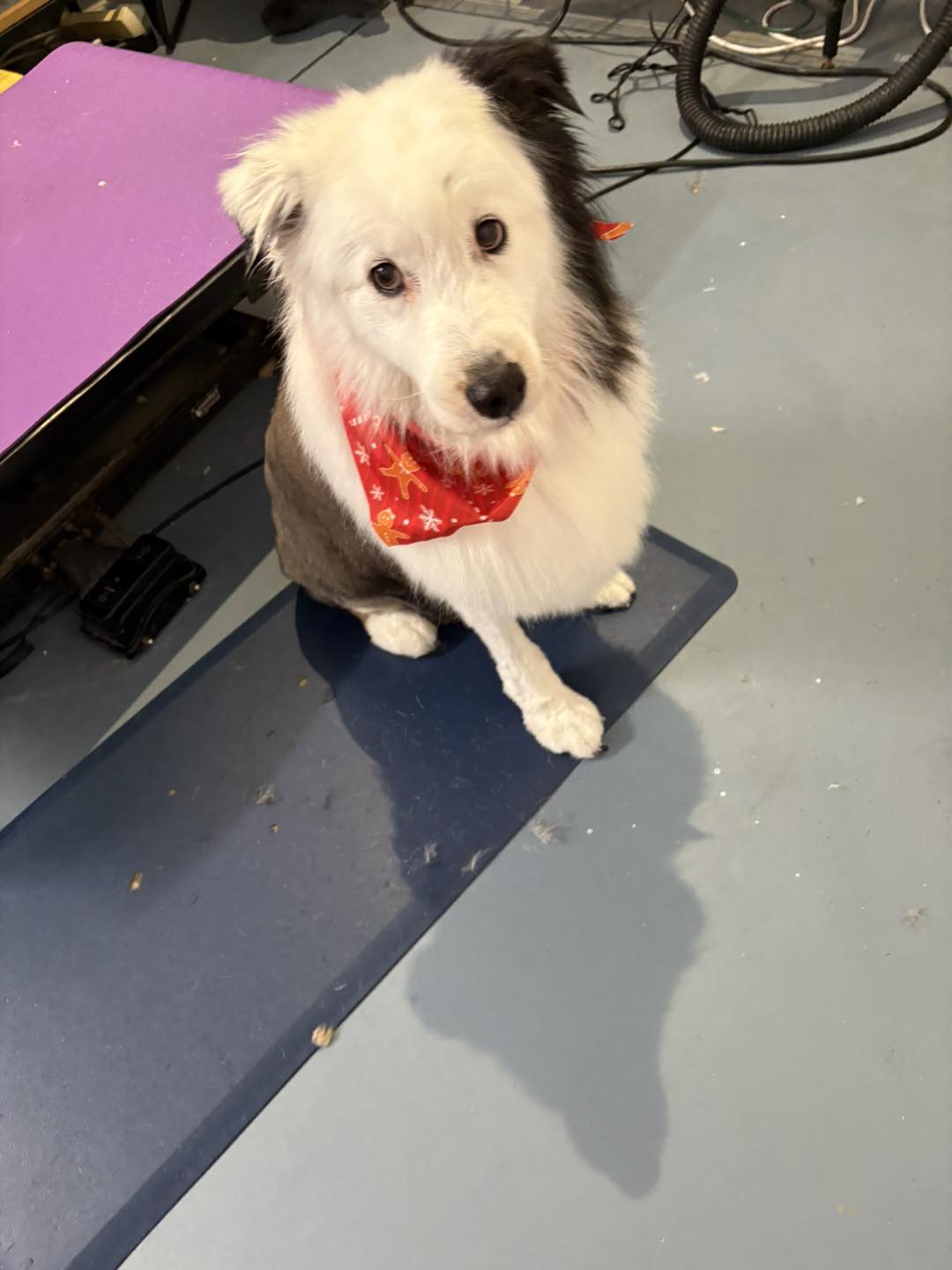 Mercy's Play and Stay Fort Walton Beach