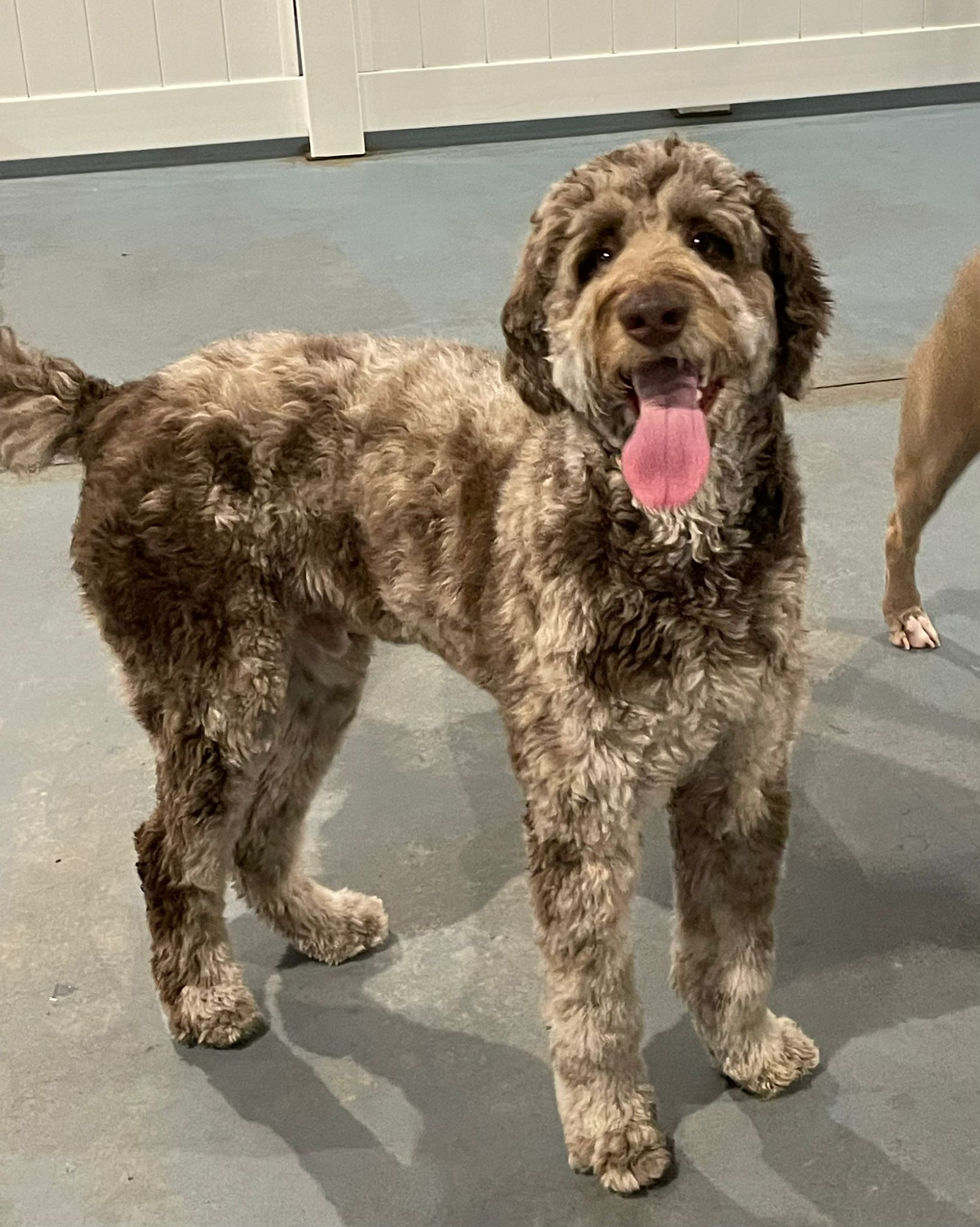 Mercy's Play and Stay Fort Walton Beach