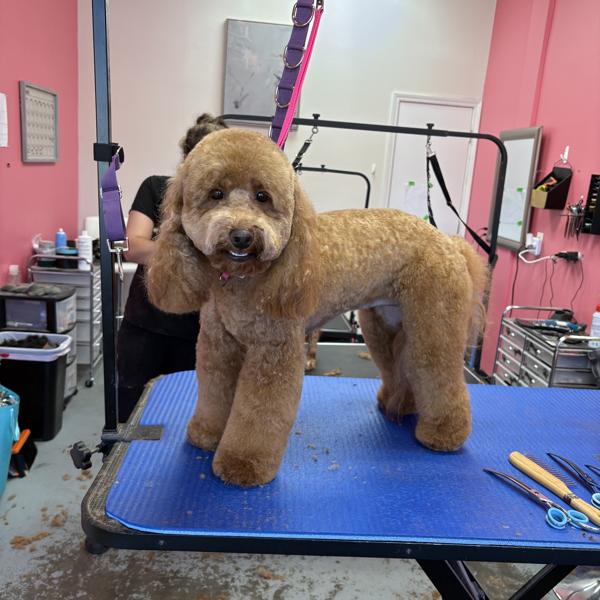 KP Mutts & Cuts LLC Fort Walton Beach