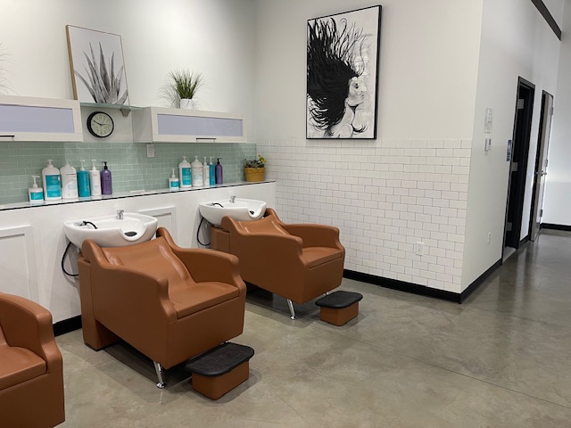 Ali Vei Salon