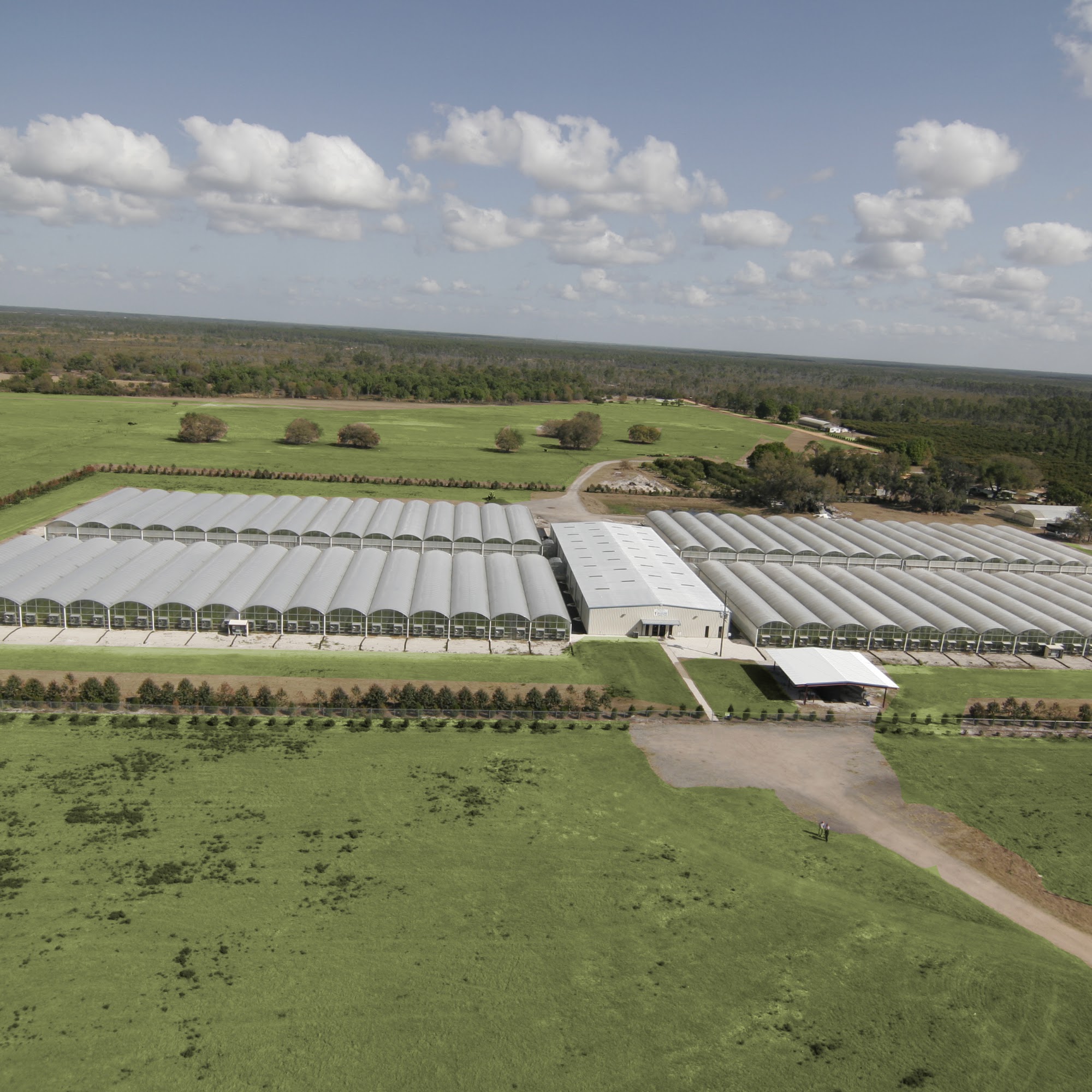 Phillip Rucks Citrus Nursery Frostproof