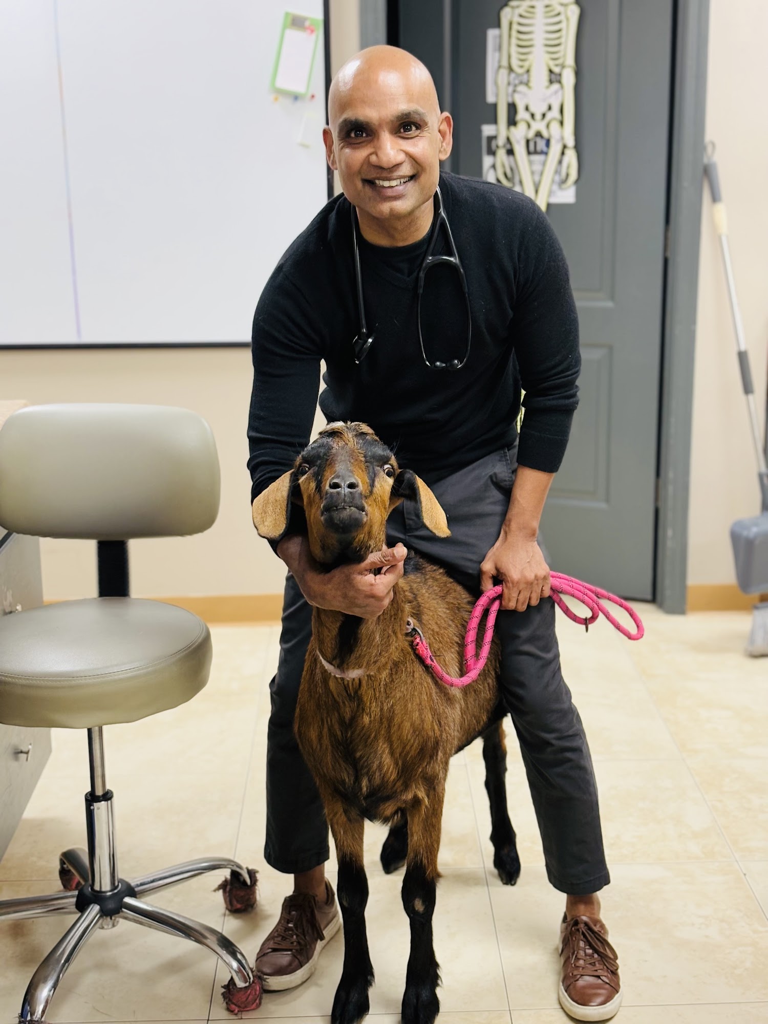 Care Pet Animal Hospital Fruit Cove