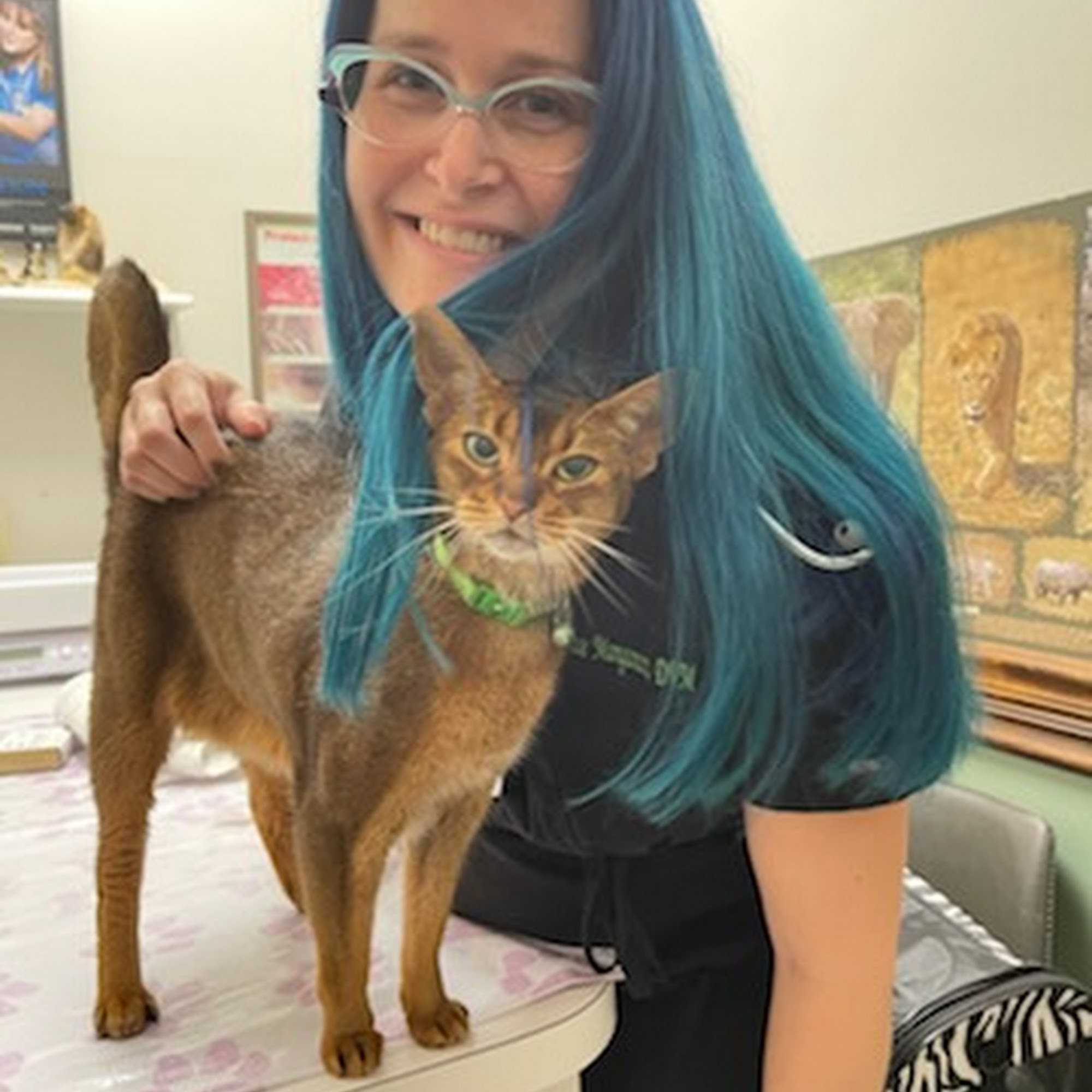 Manganaro Candice DVM Fruitland Park