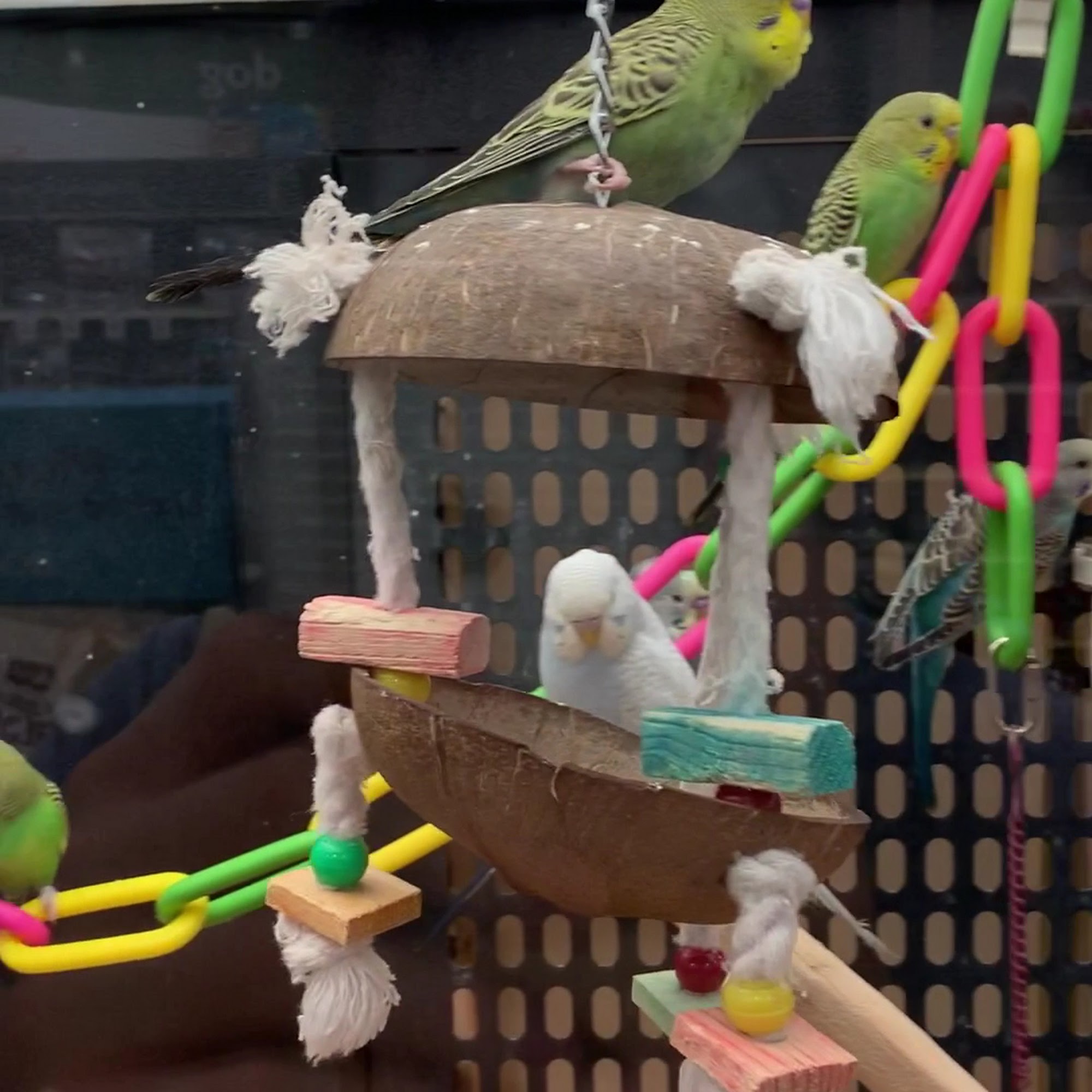 PetSmart Gainesville