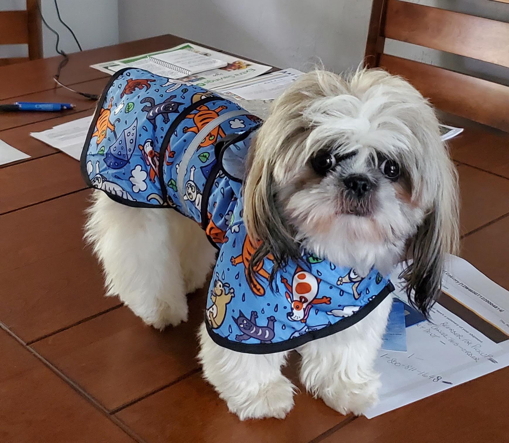 Newberry Animal Hospital Main St. Gainesville