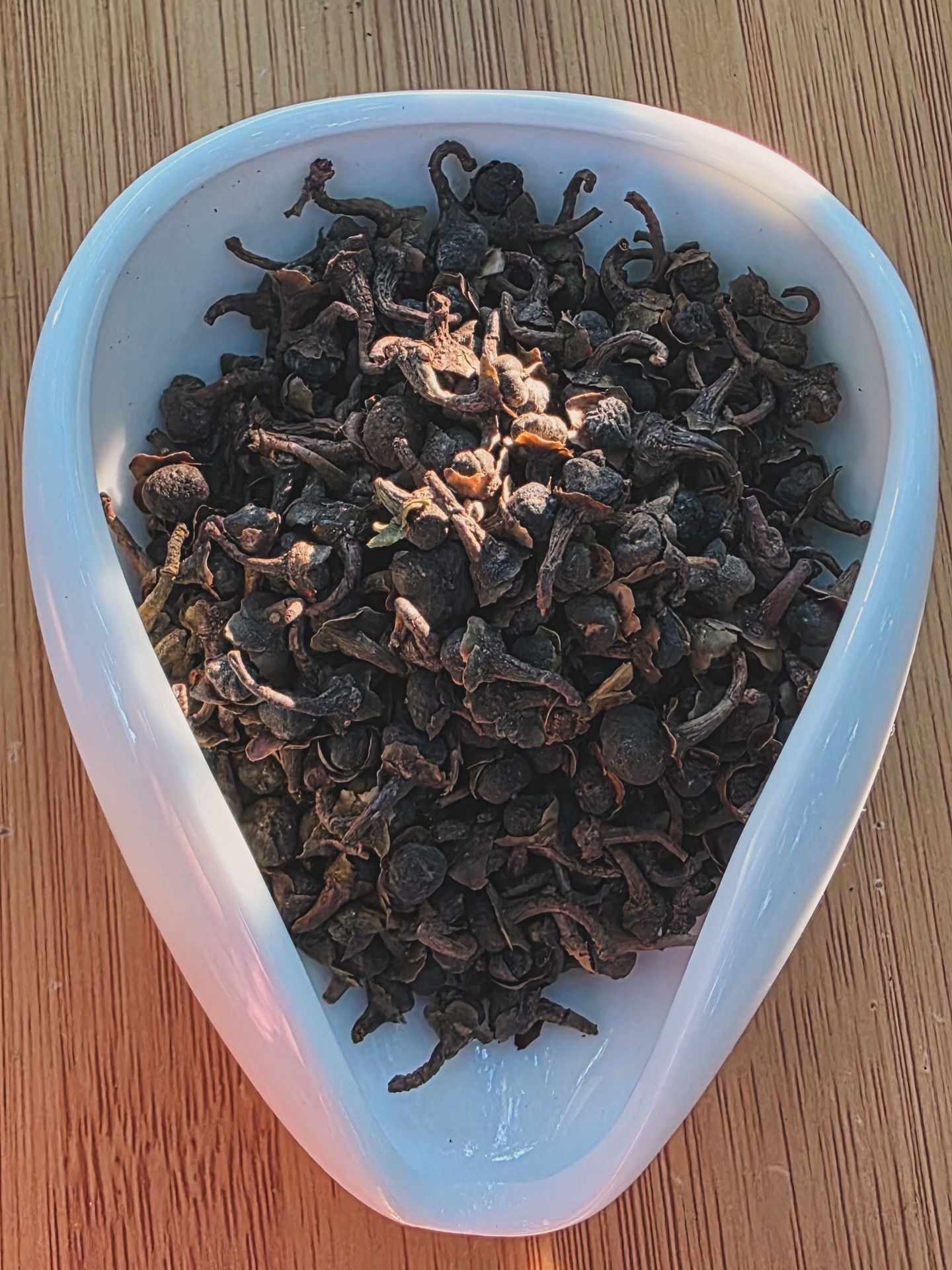 House Of Waking Life - HOWL Gainesville