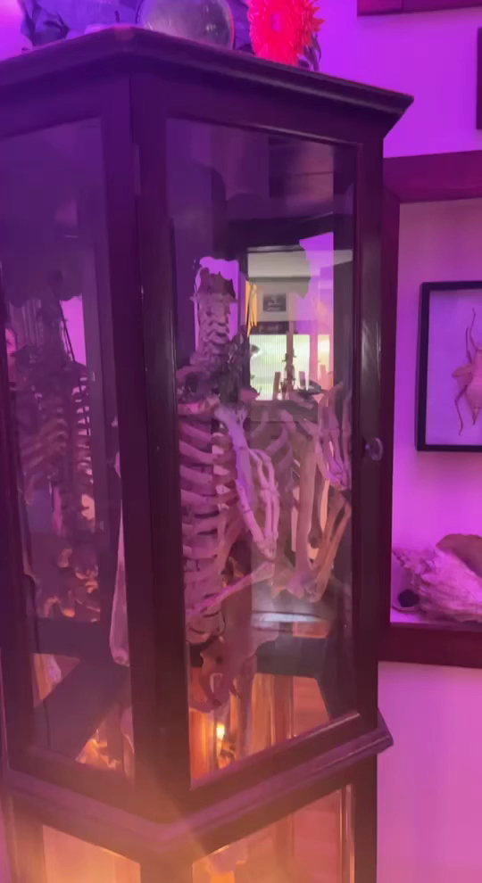 House Of Waking Life - HOWL Gainesville