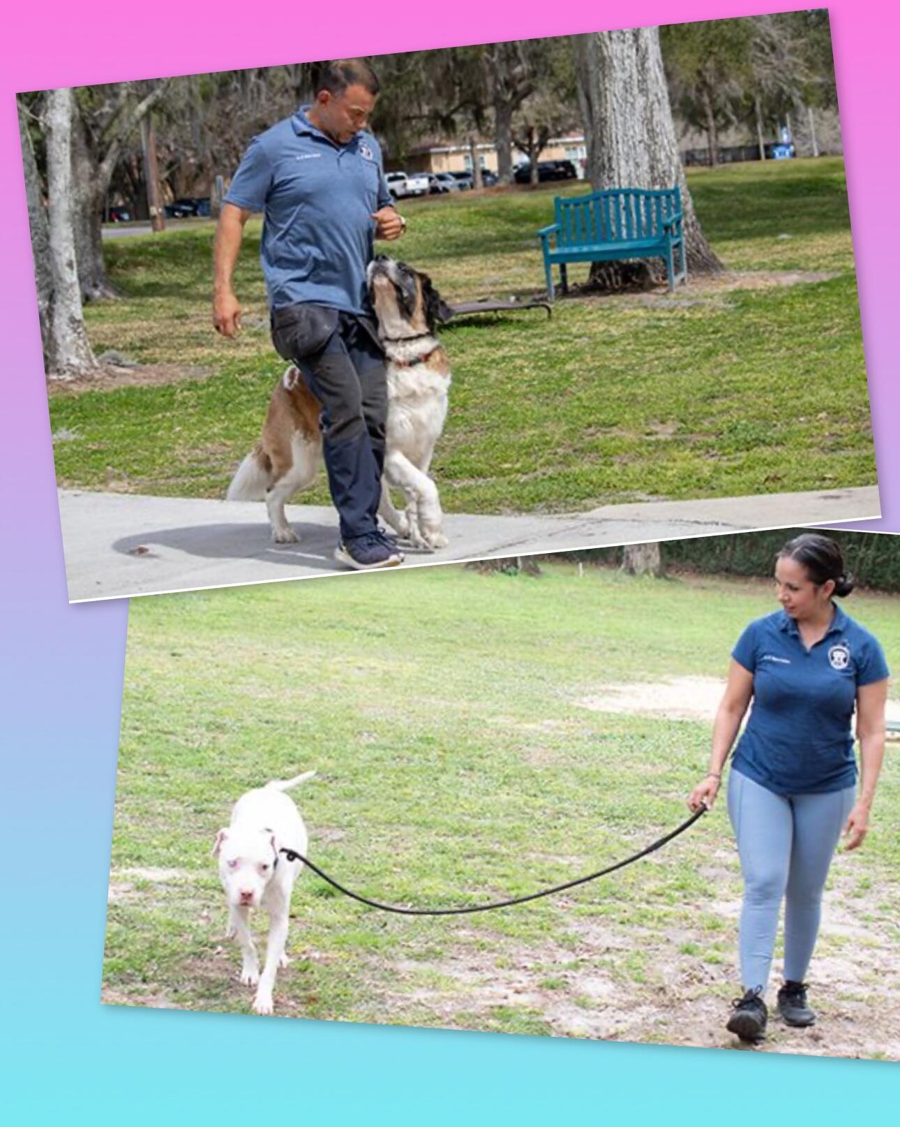 Casper's Camp Hope Gainesville