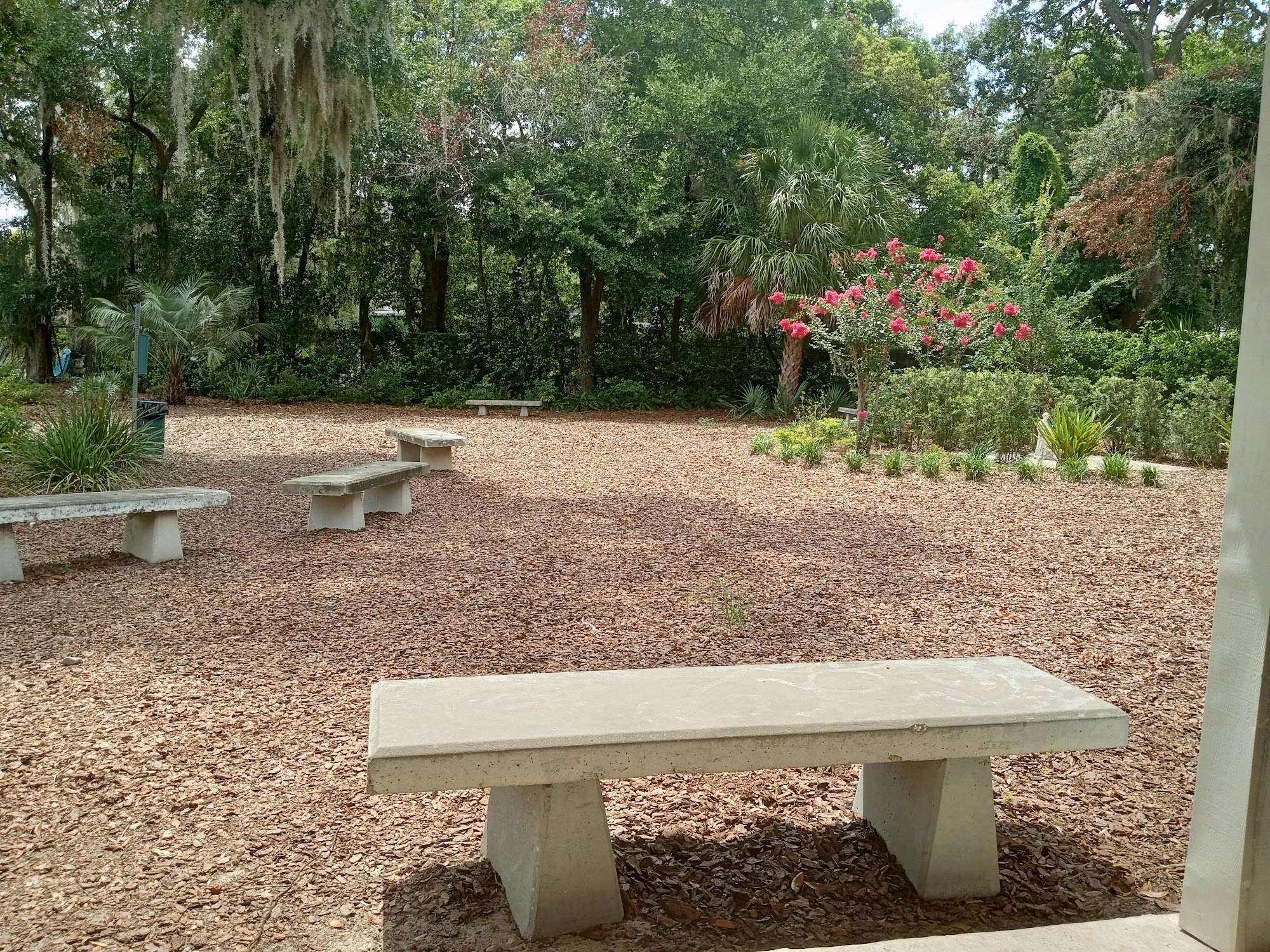 St. Francis Pet Care: A Remedy Practice Gainesville