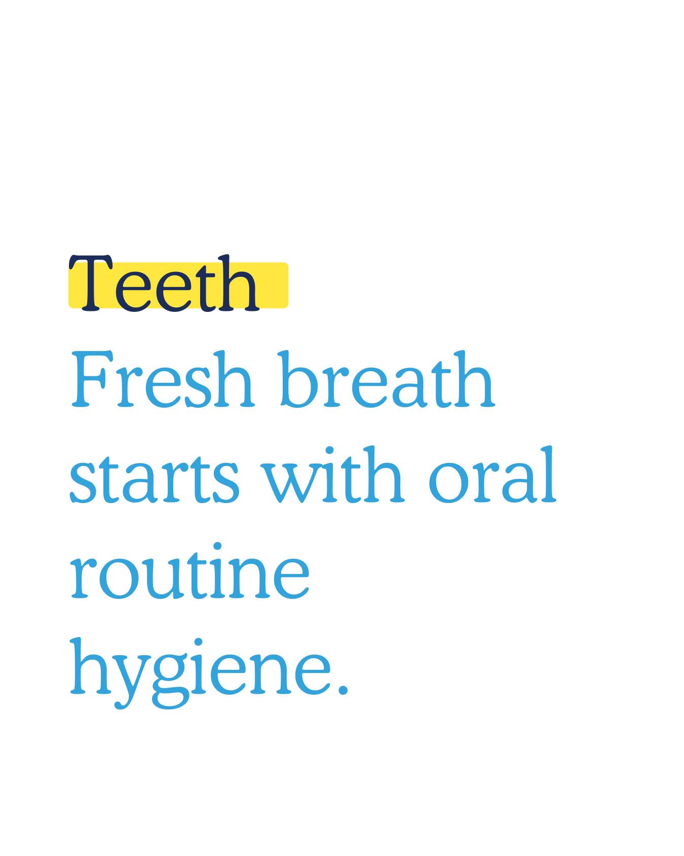 Scenthound Millhopper Gainesville