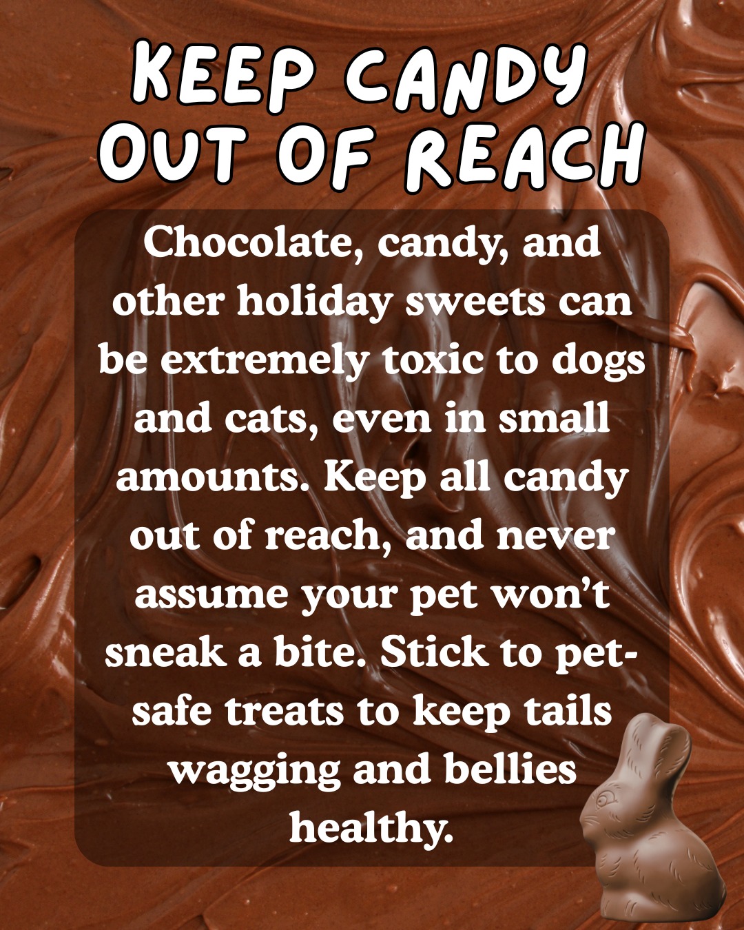 UrgentVet - Gainesville Gainesville