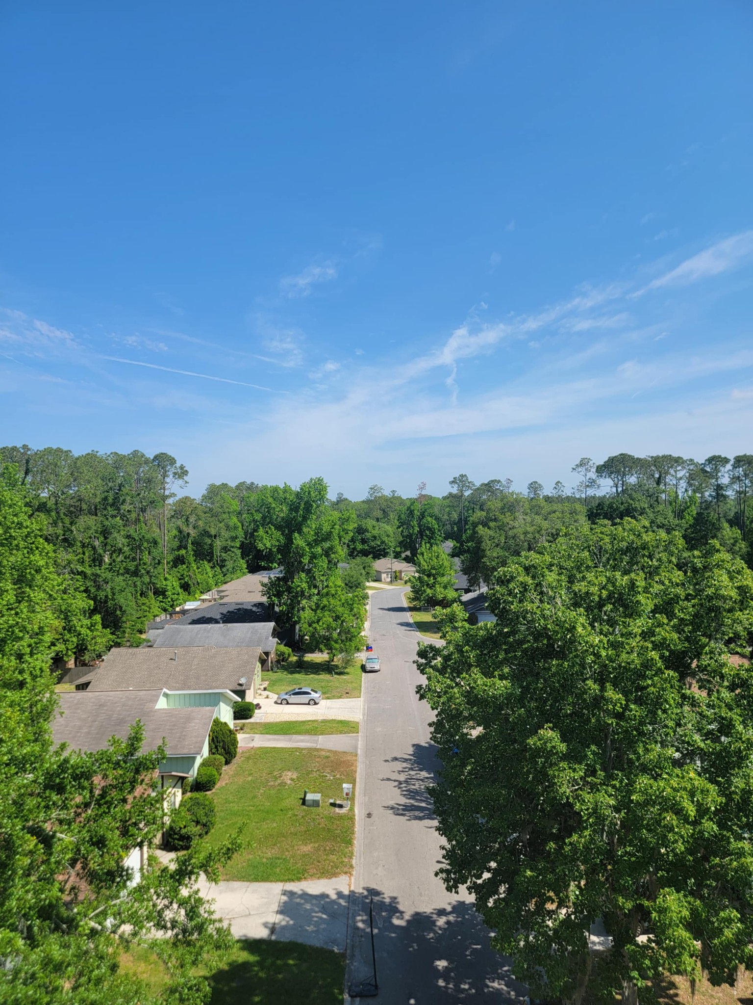 Top Tier Tree Specialist