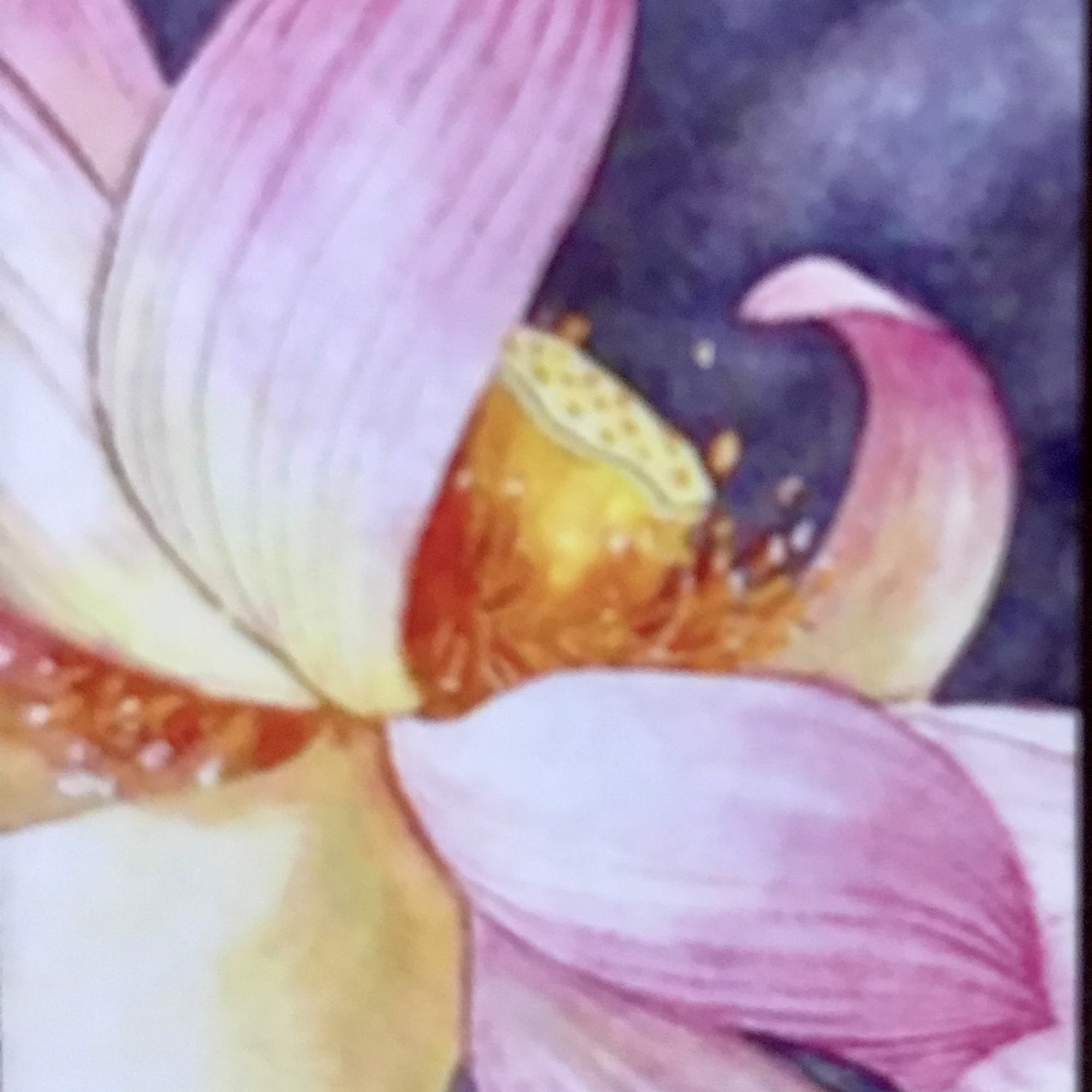 Christine Ellis Acupuncture & Massage