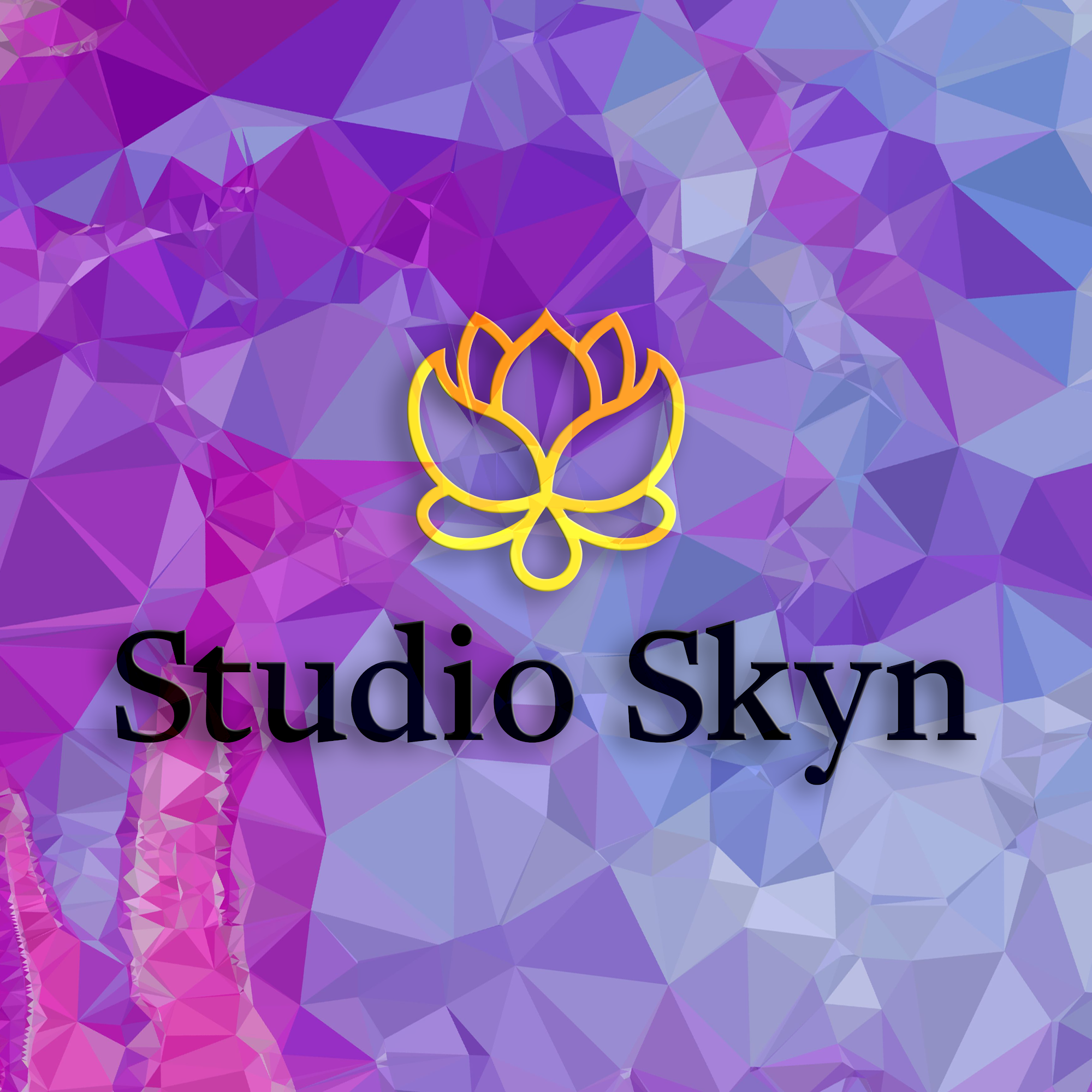 Studio Skyn